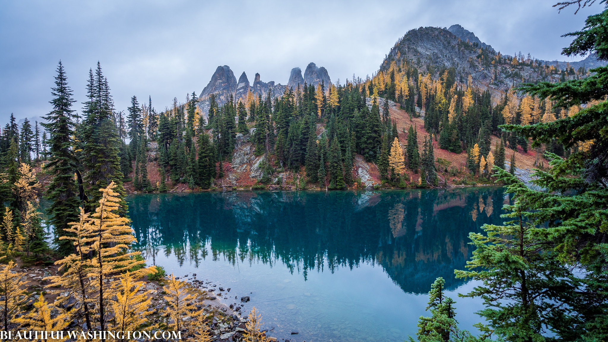 Photo from Washington State