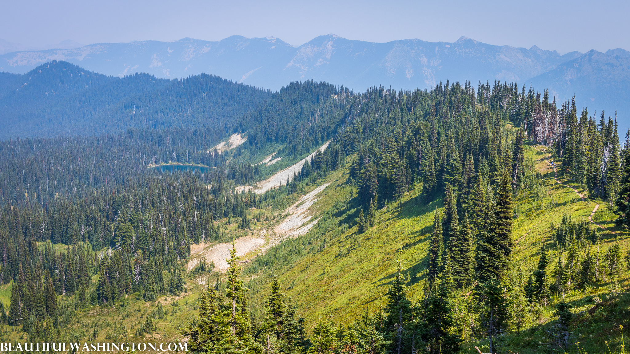 Photo from Washington State