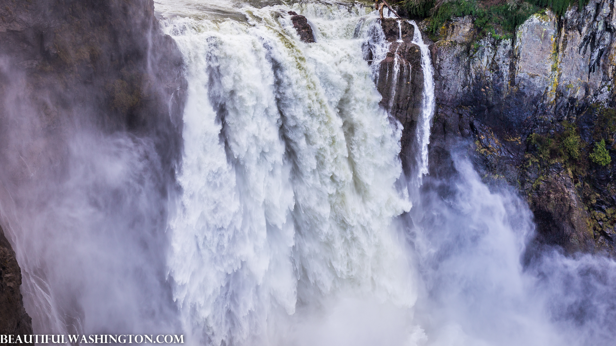 Photo from Washington State