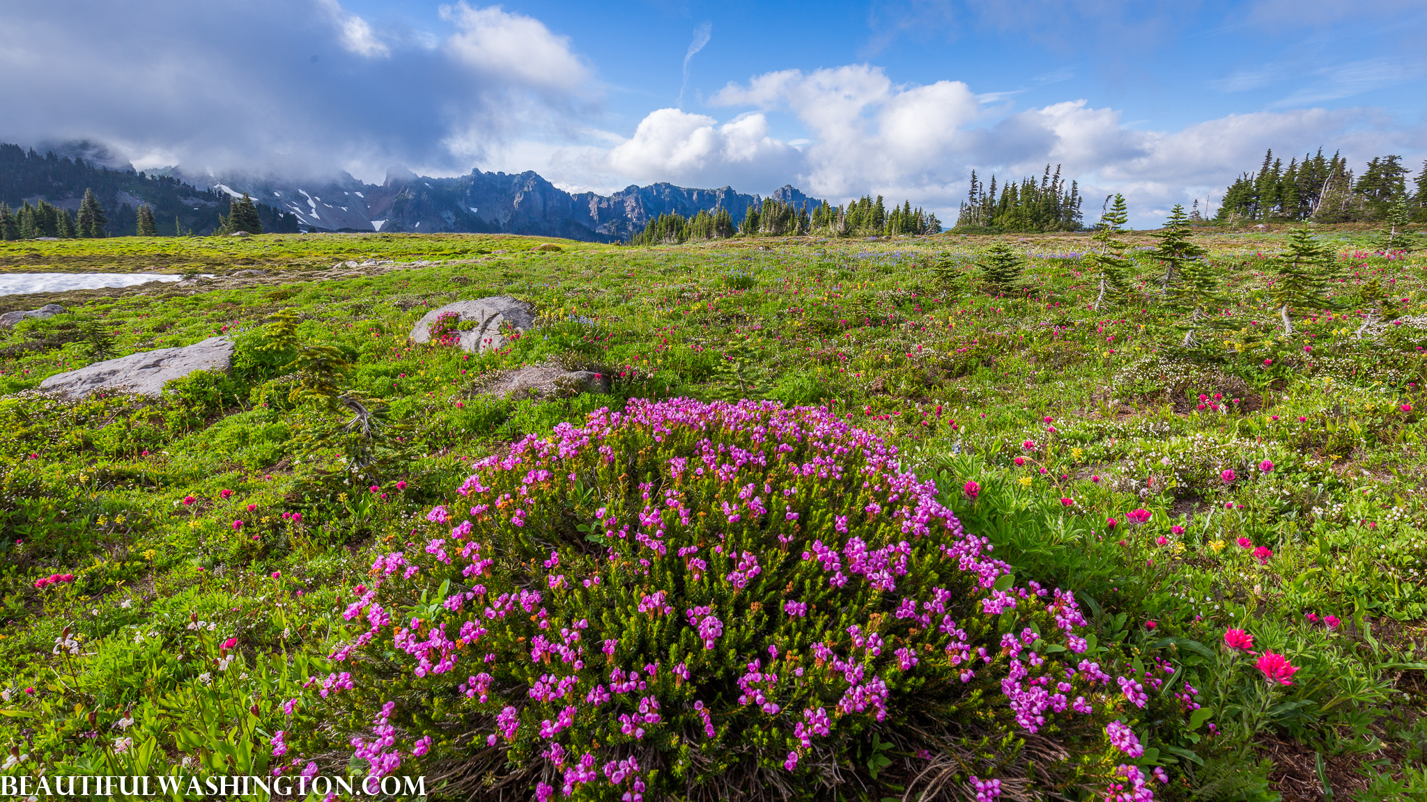 Photo from Washington State