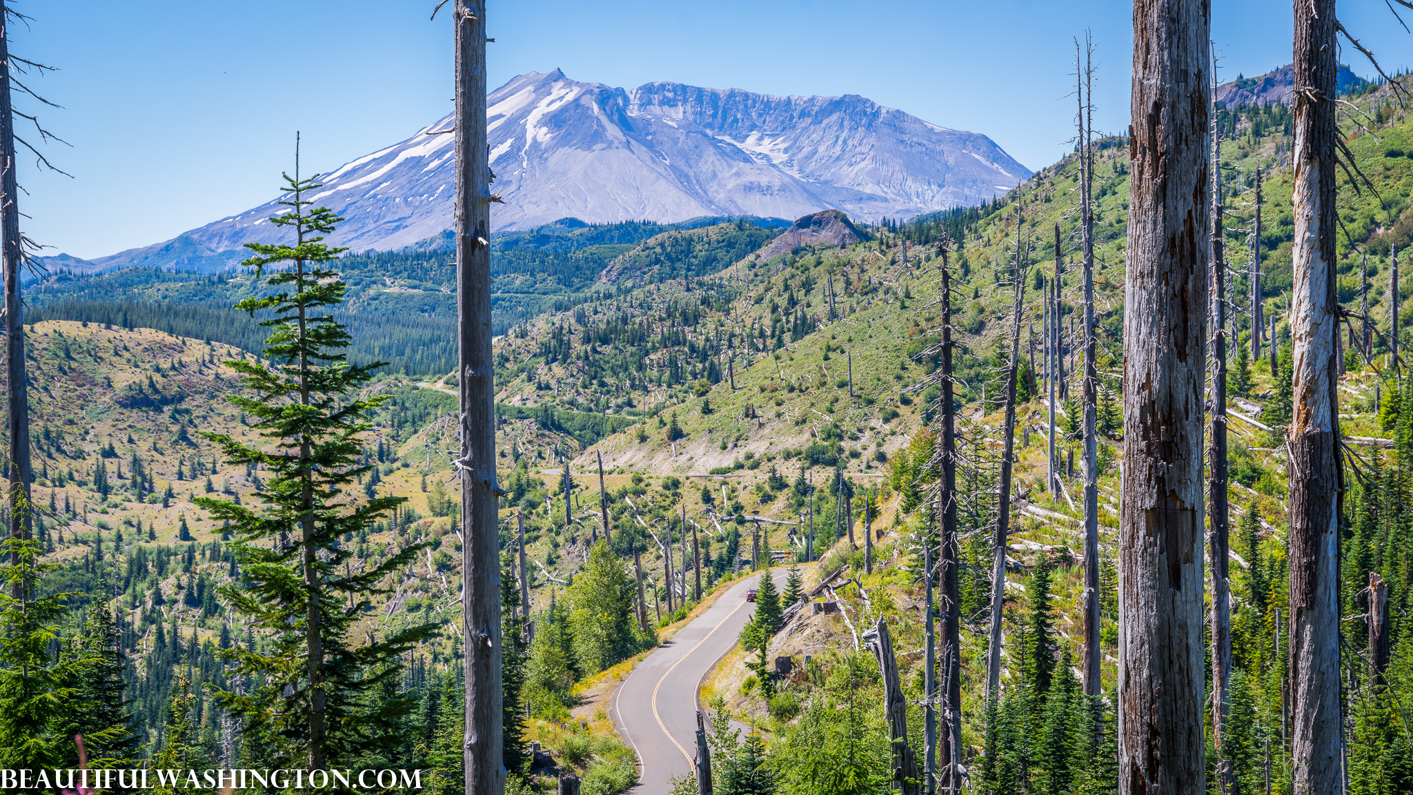 Photo from Washington State