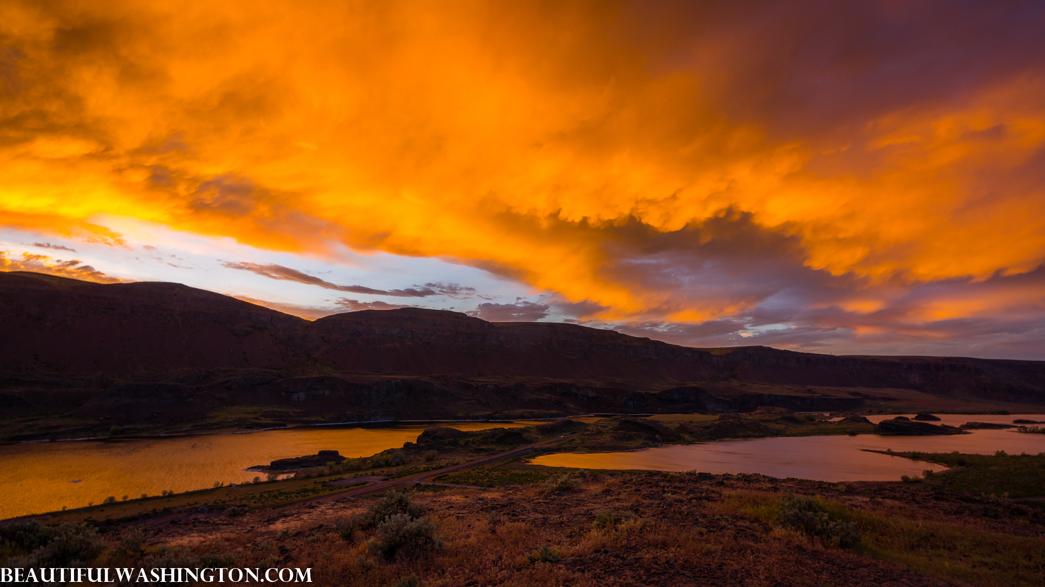 Photo from Washington State