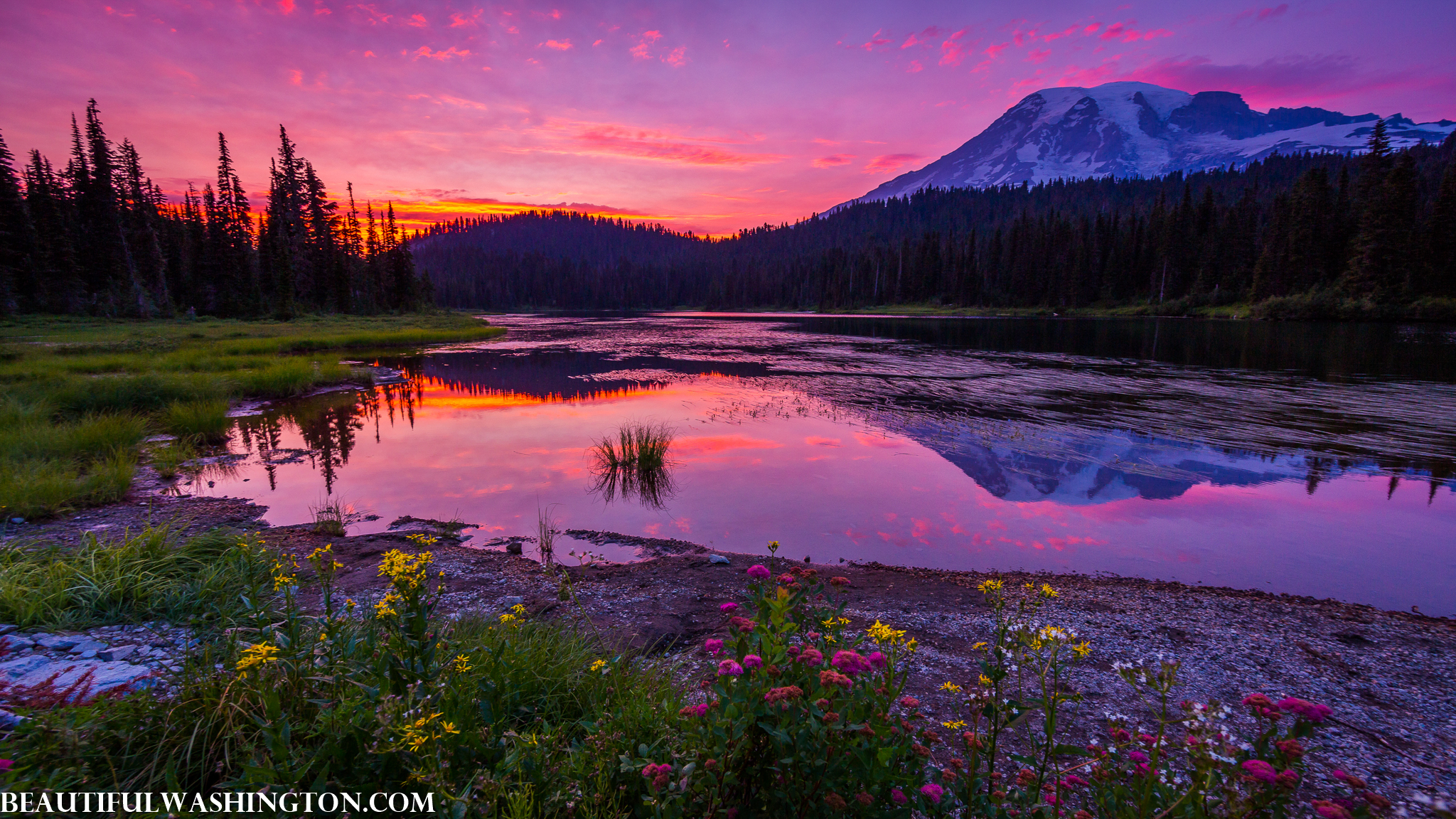 Photo from Washington State