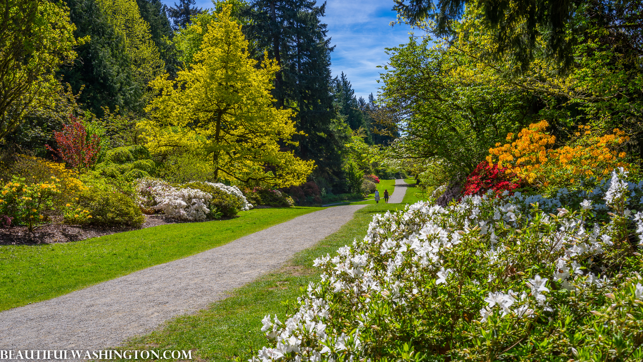 Photo from Washington State