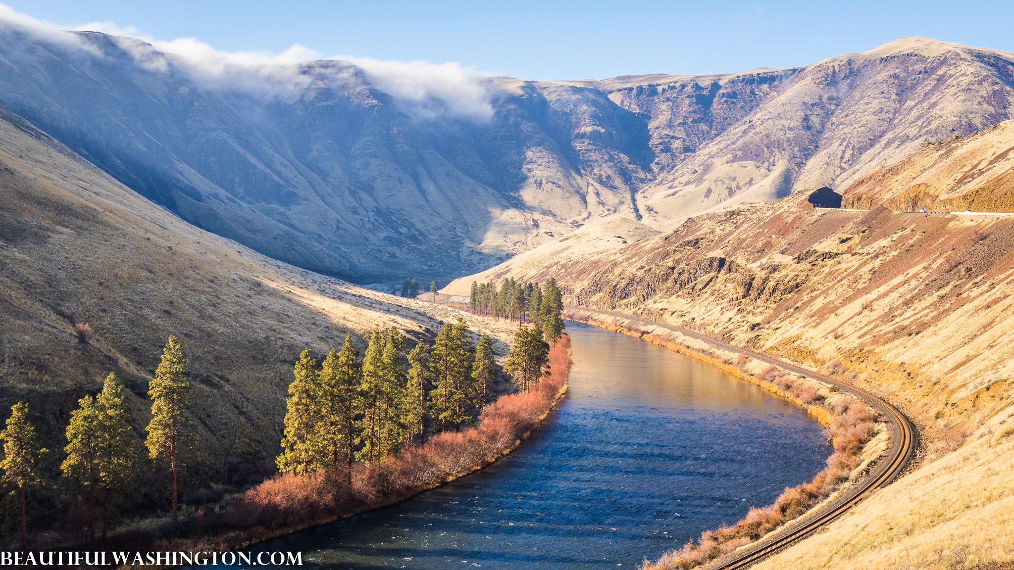 Photo from Washington State