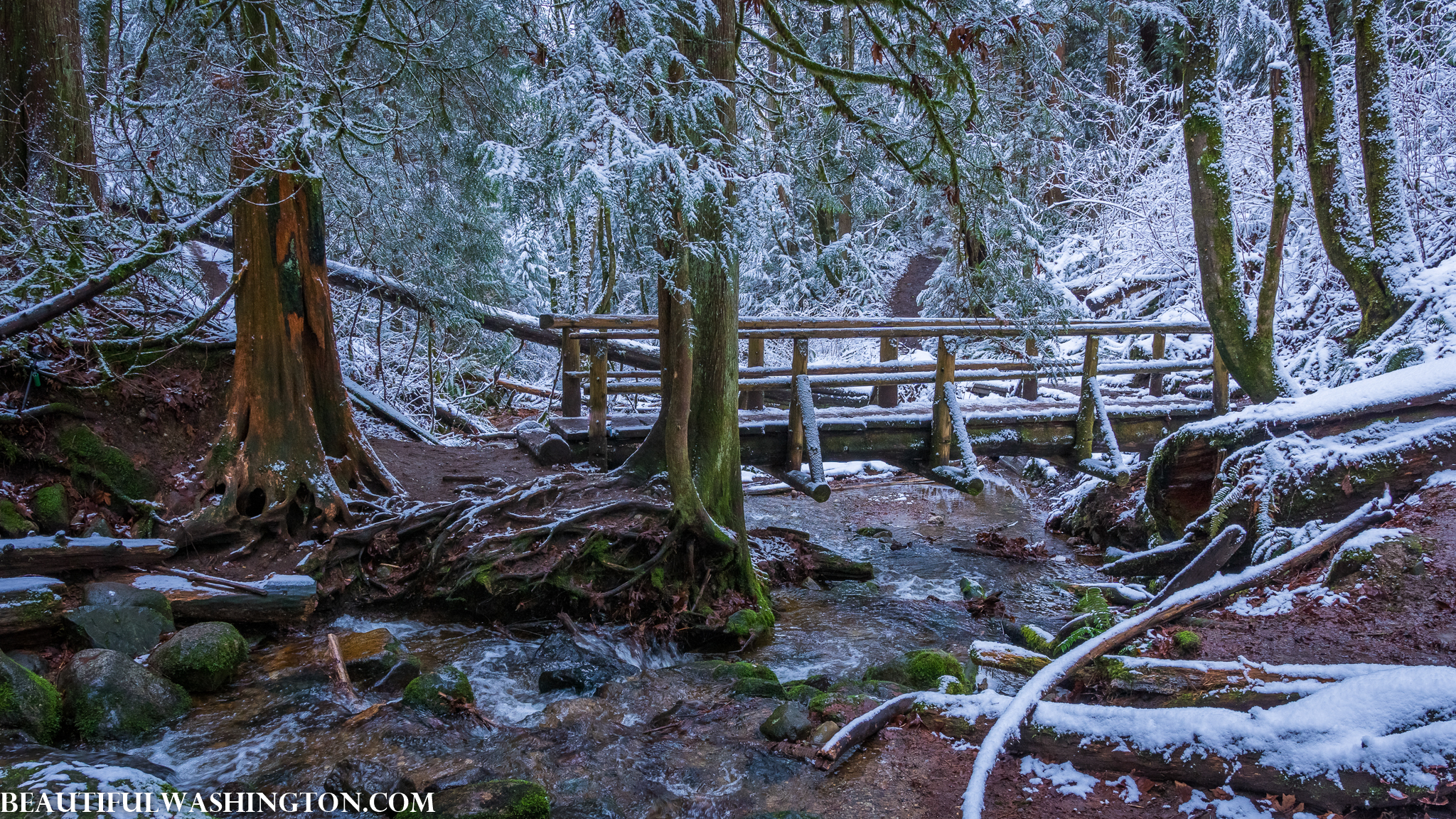 Photo from Washington State