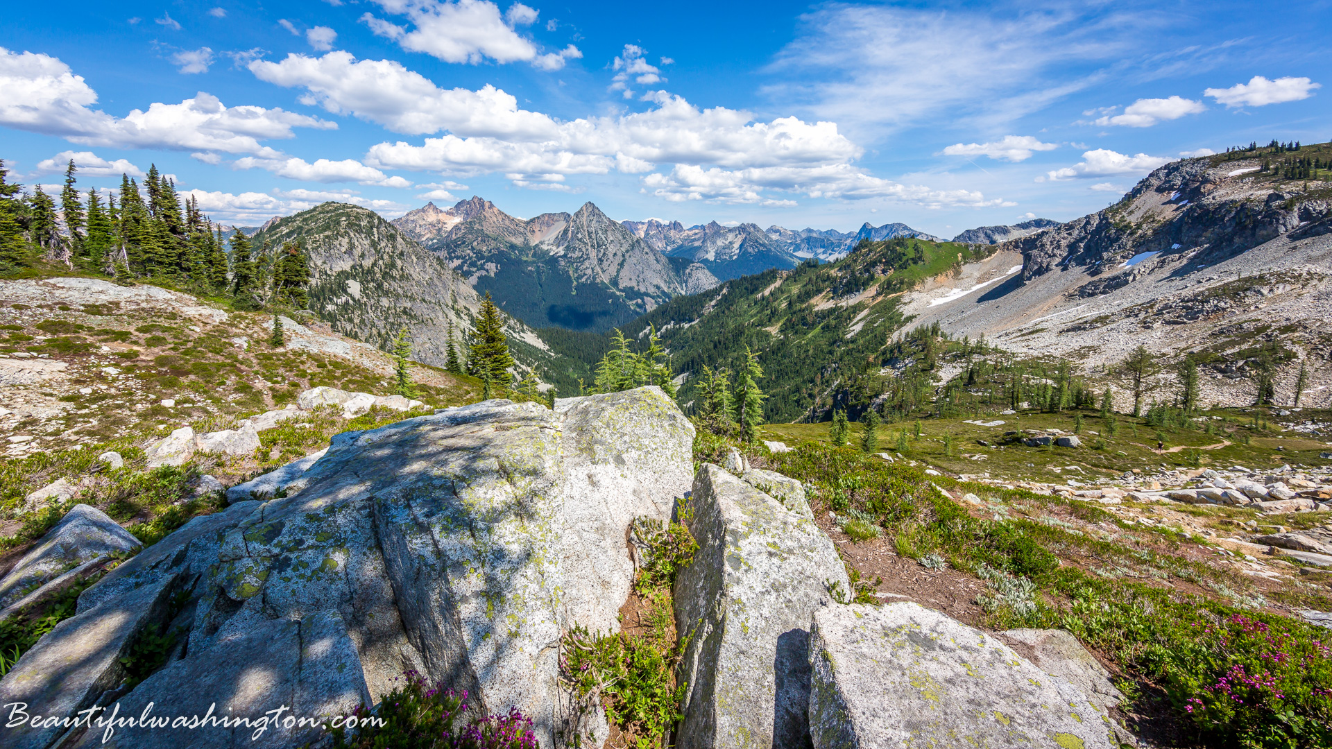 Photo from Washington State