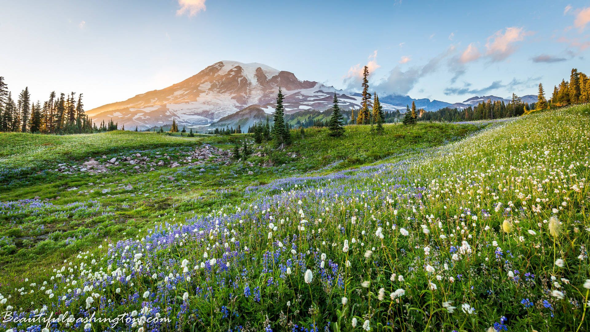 Photo from Washington State