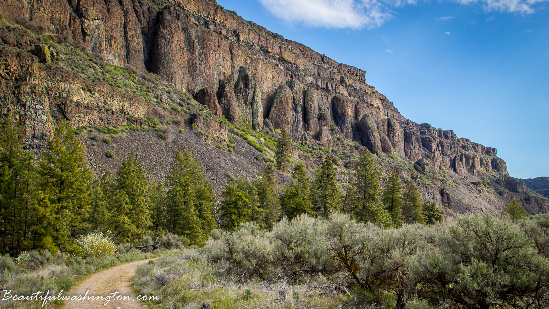 Photo from Washington State