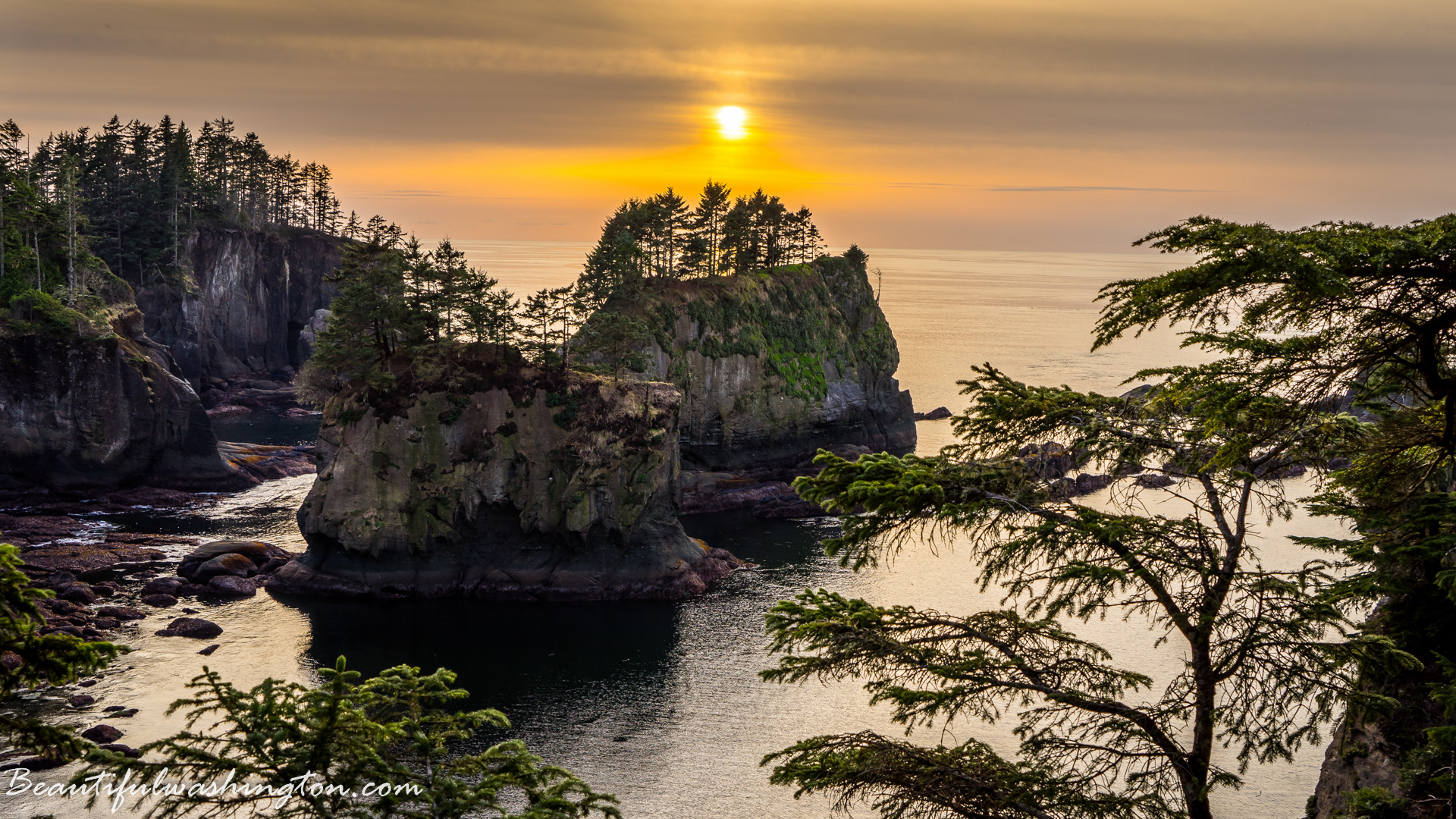 Photo from Washington State