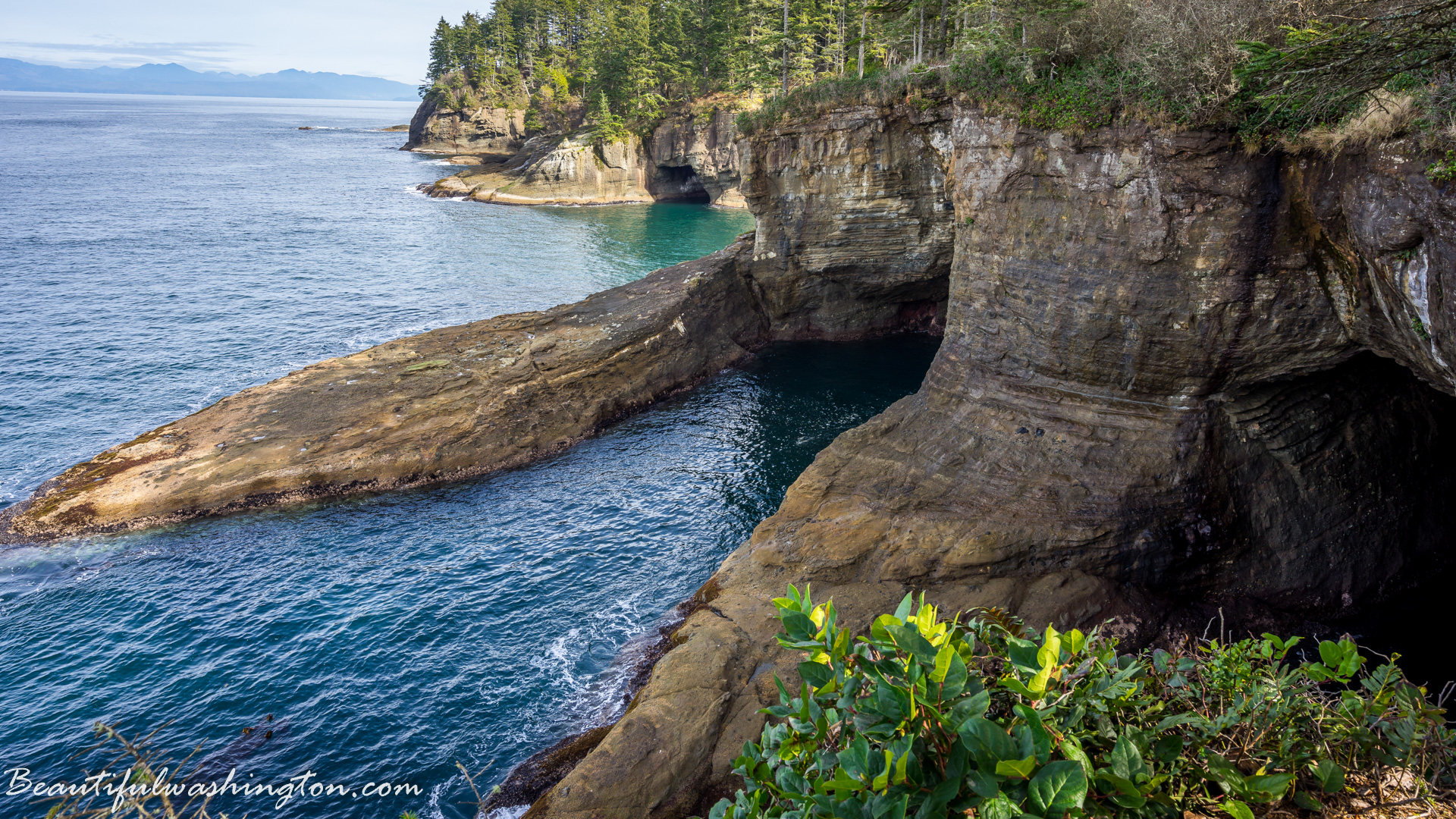 Photo from Washington State