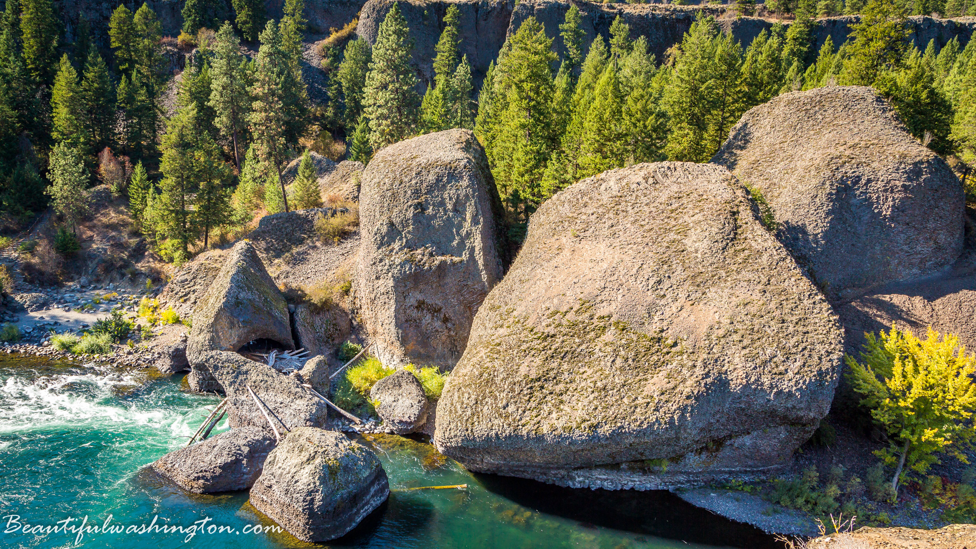 Photo from Washington State