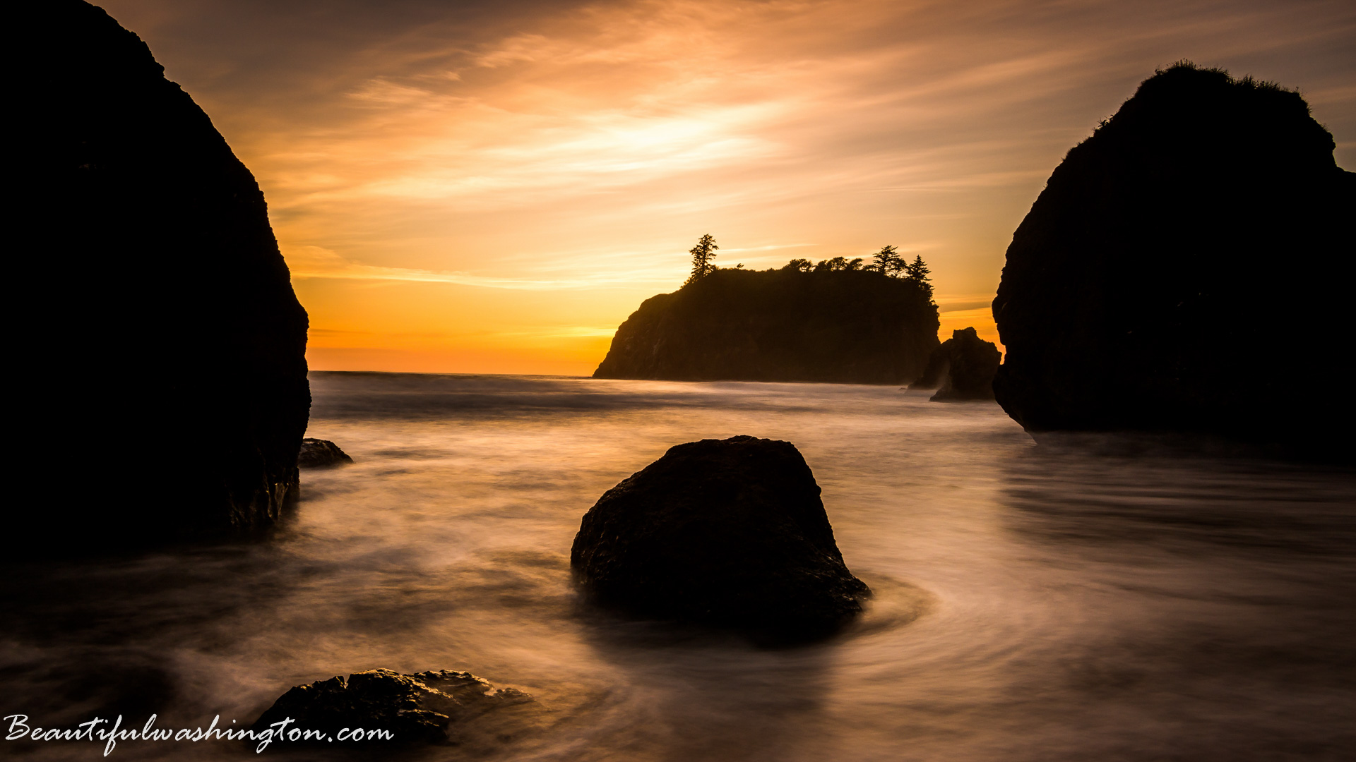 Photo from Washington State