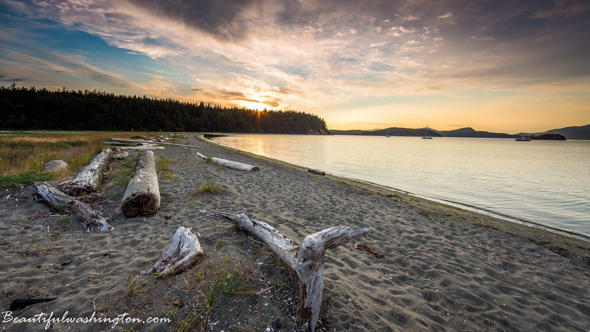 Photo from Washington State