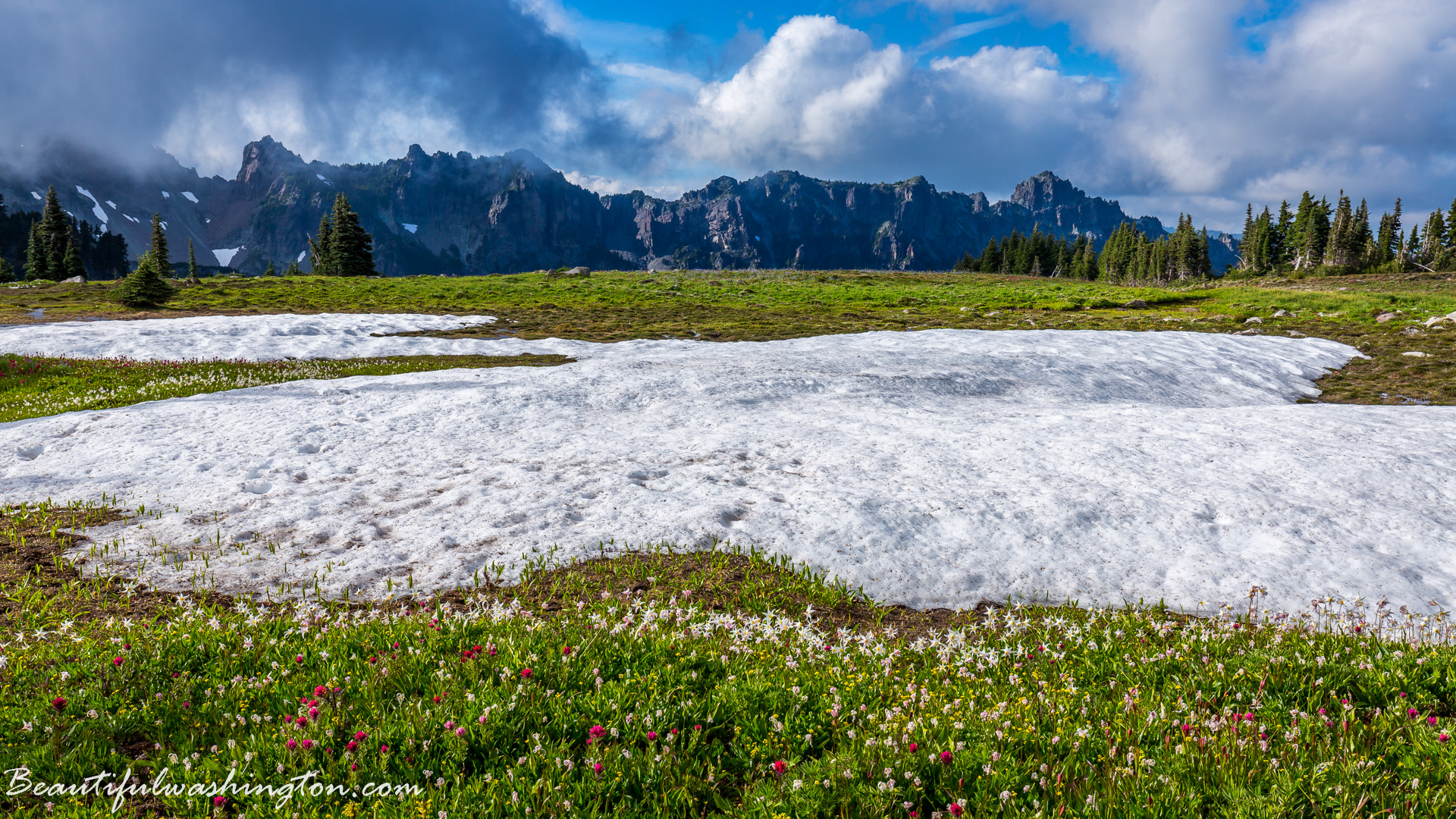 Photo from Washington State