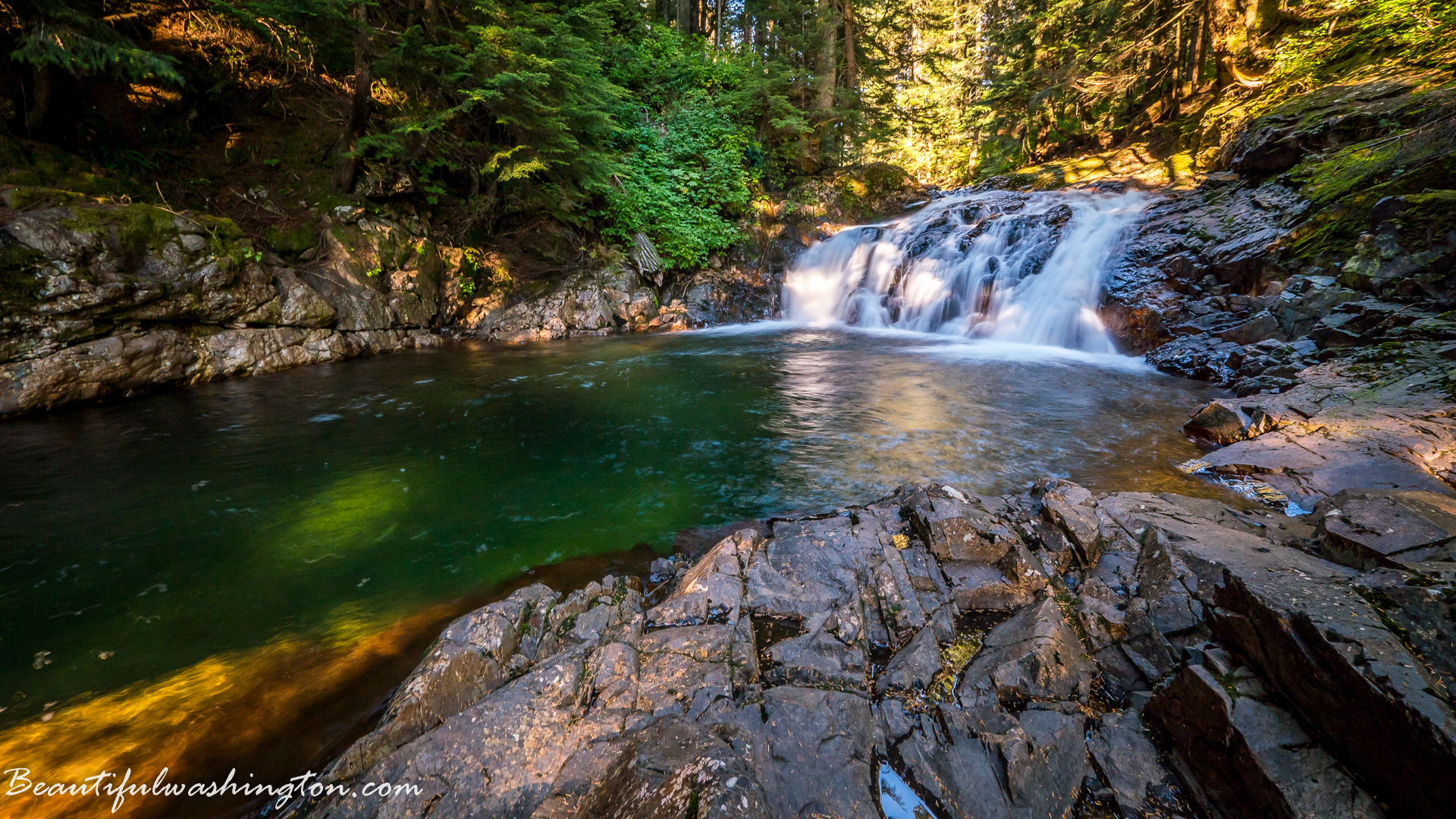 Photo from Washington State