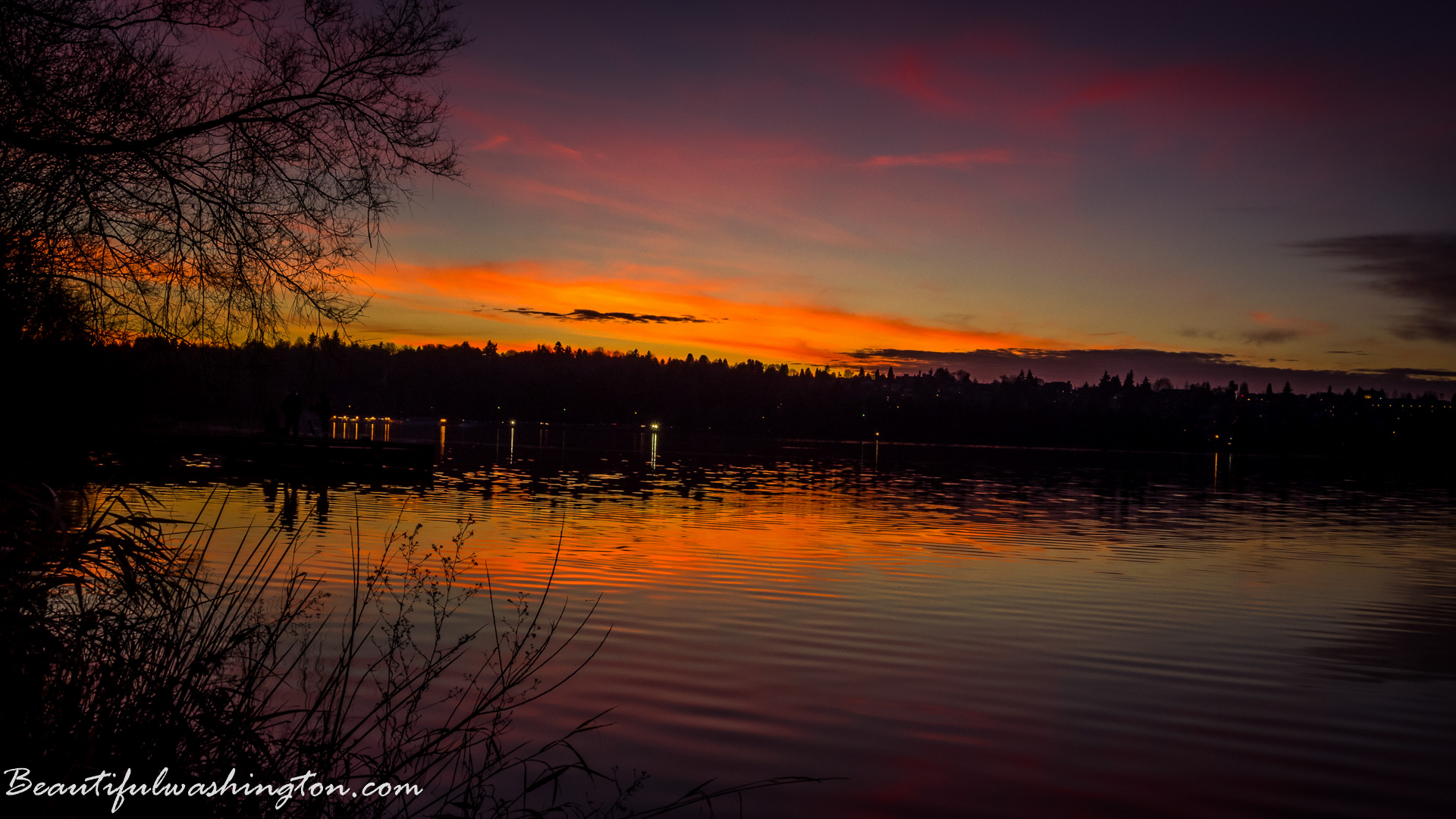 Photo from Washington State