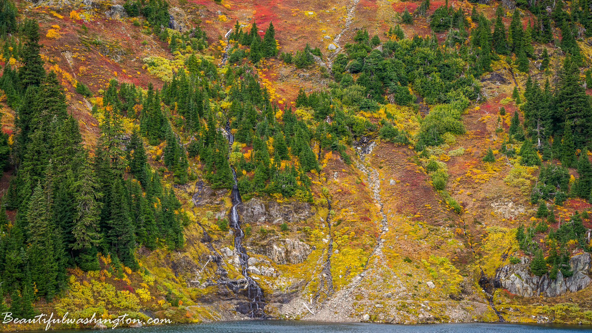 Photo from Washington State