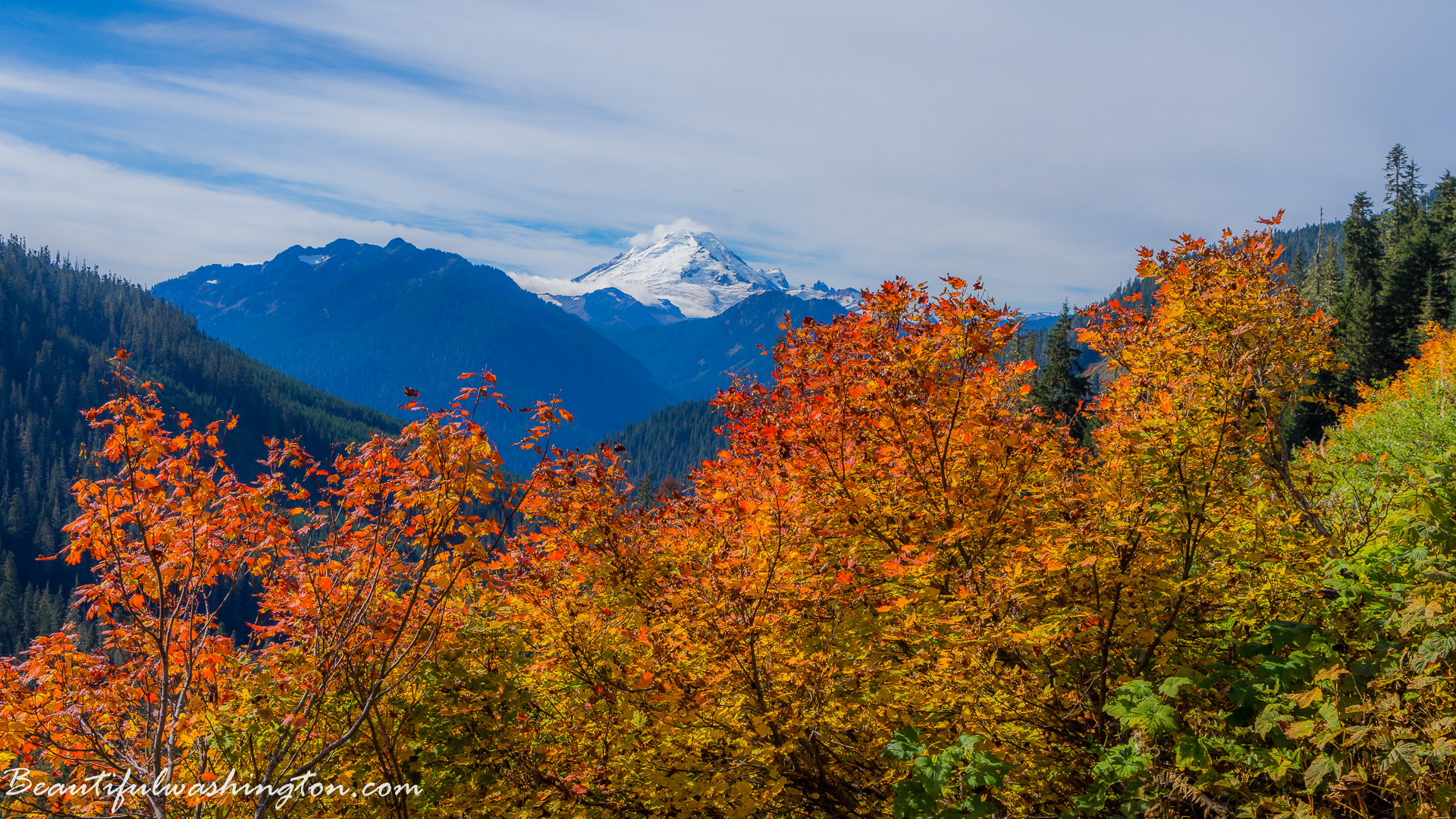 Photo from Washington State