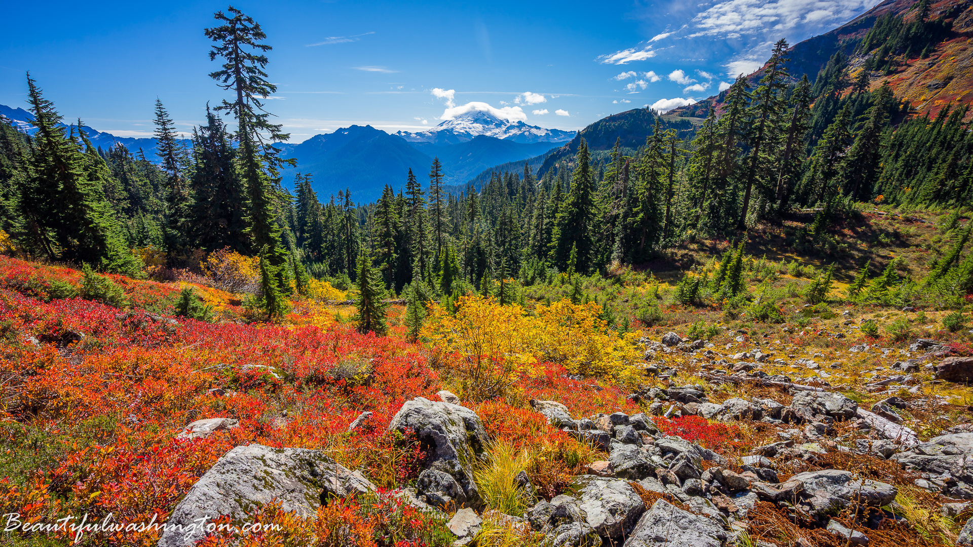 Photo from Washington State