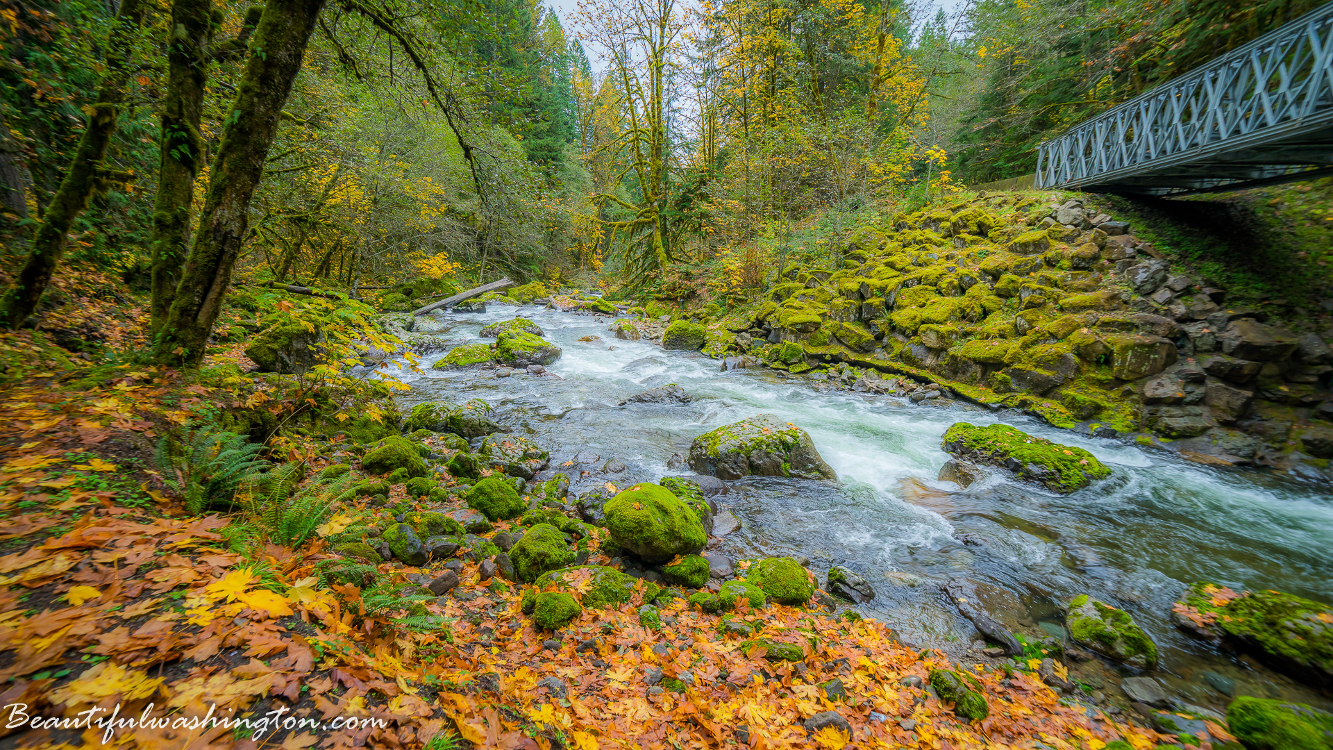 Photo from Washington State