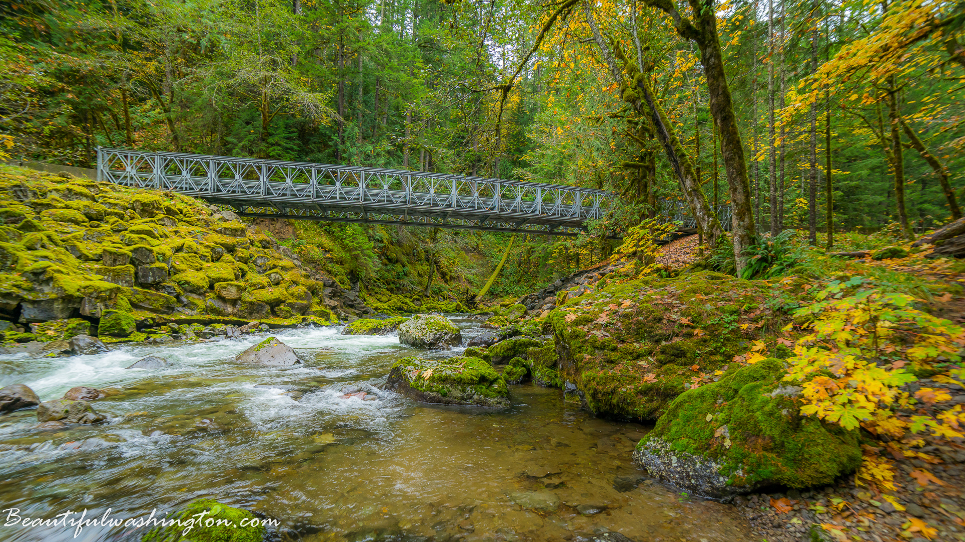 Photo from Washington State