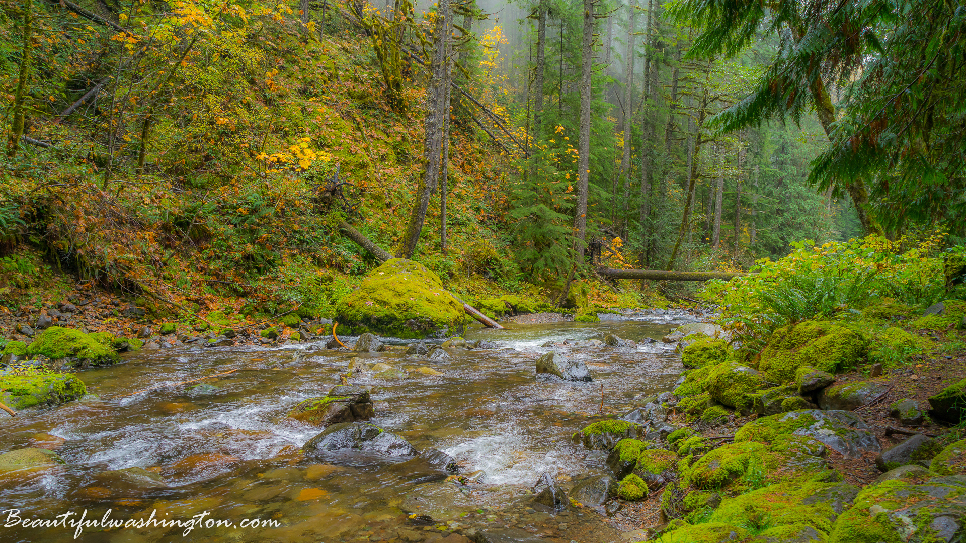 Photo from Washington State