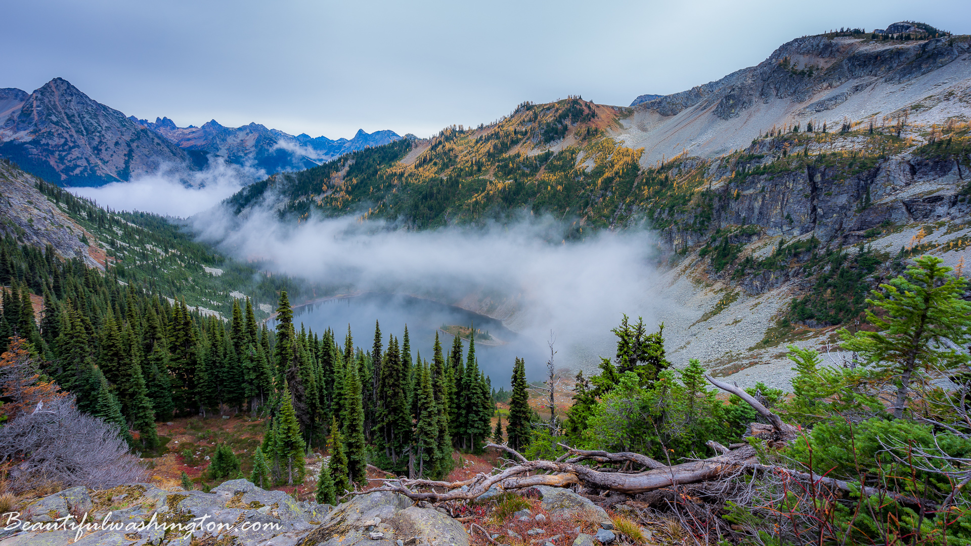 Photo from Washington State