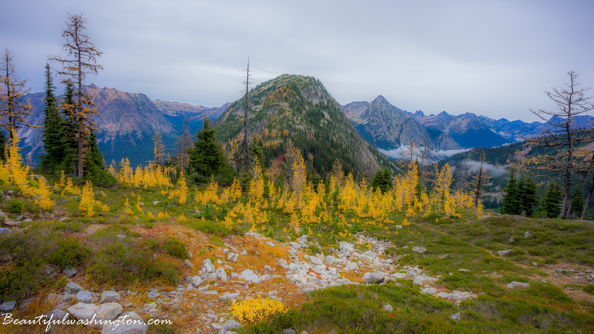 Photo from Washington State