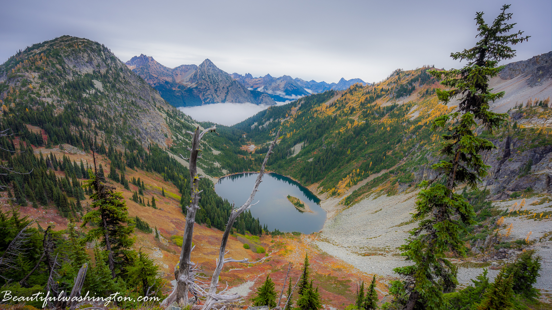 Photo from Washington State