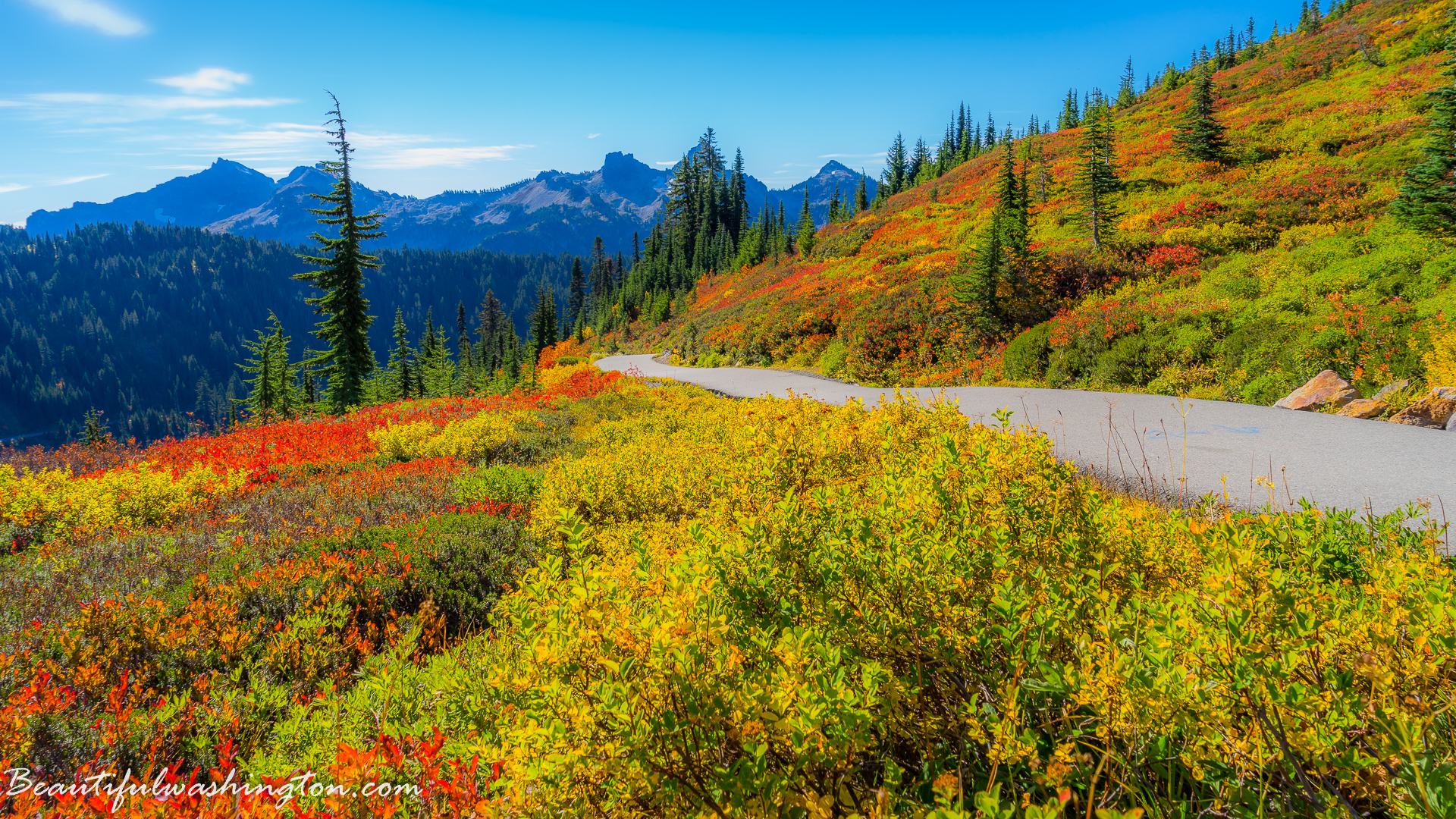 Photo from Washington State