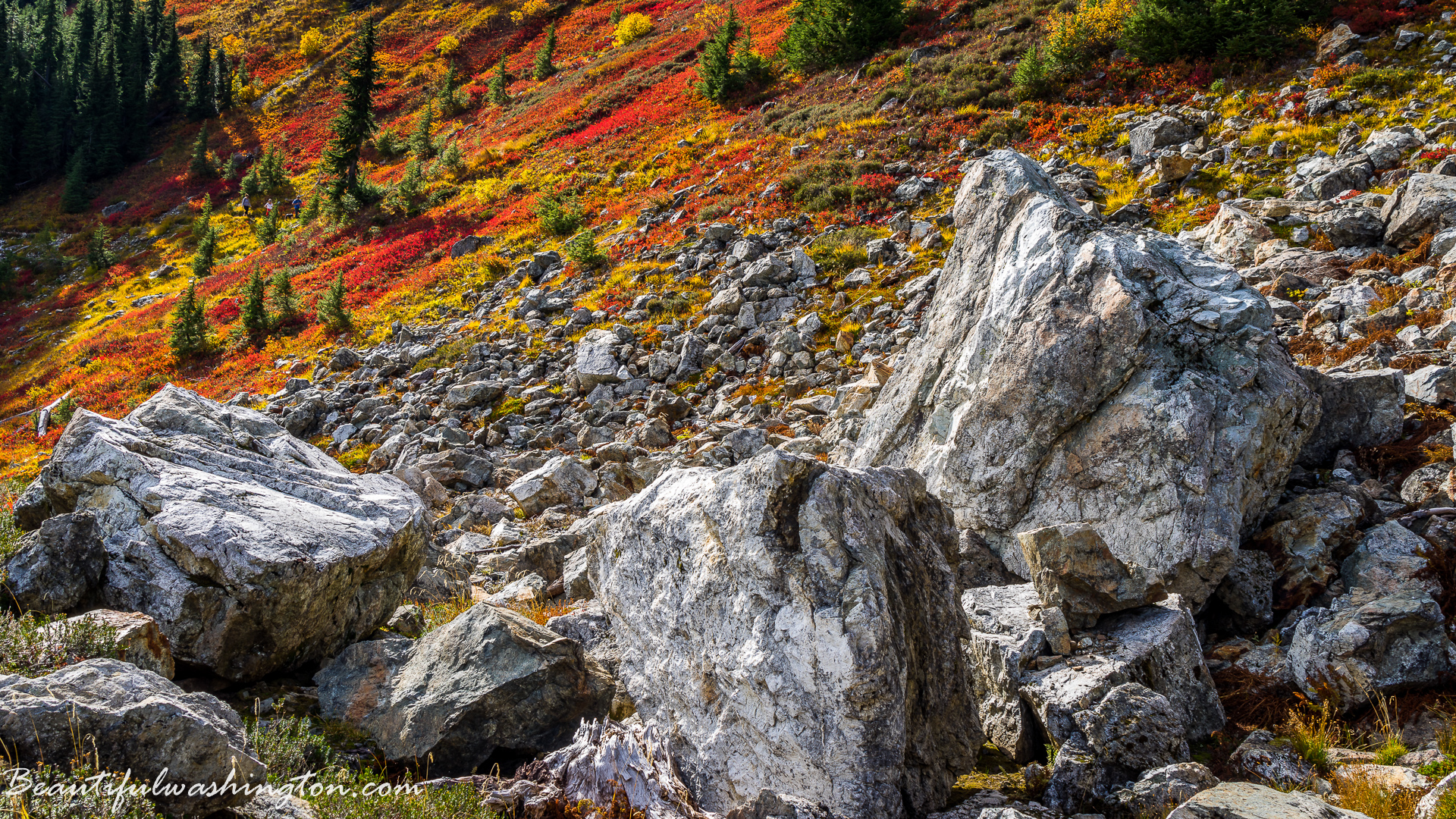 Photo from Washington State