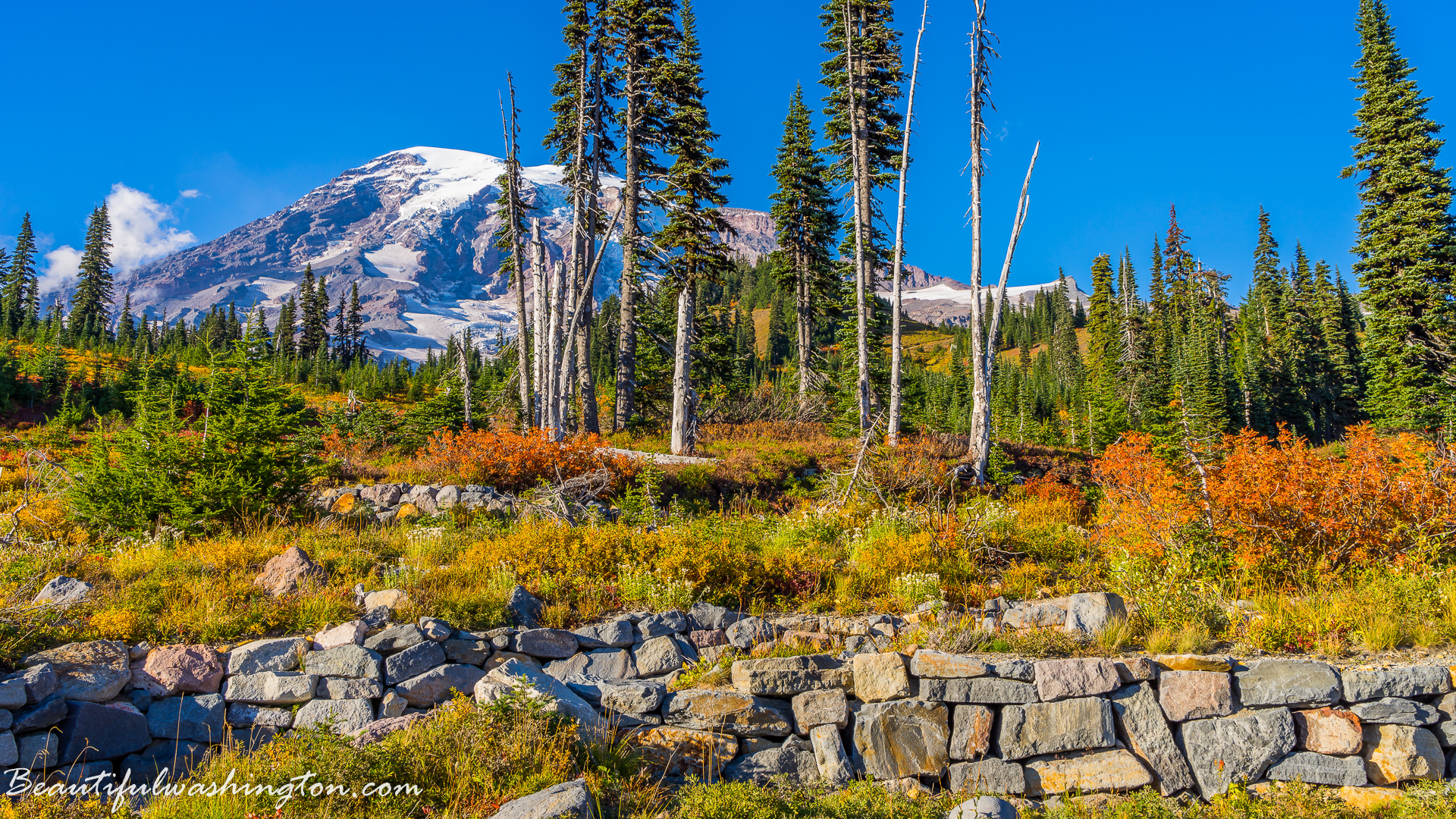 Photo from Washington State