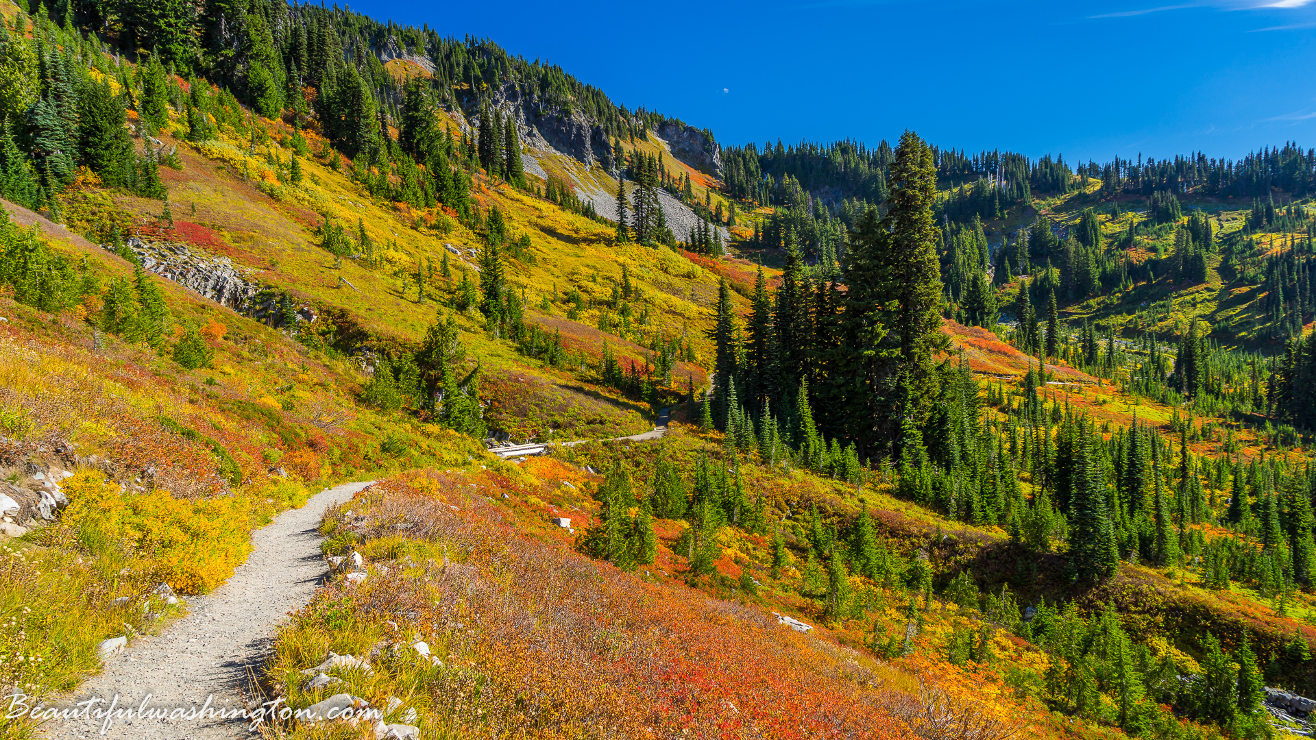 Photo from Washington State