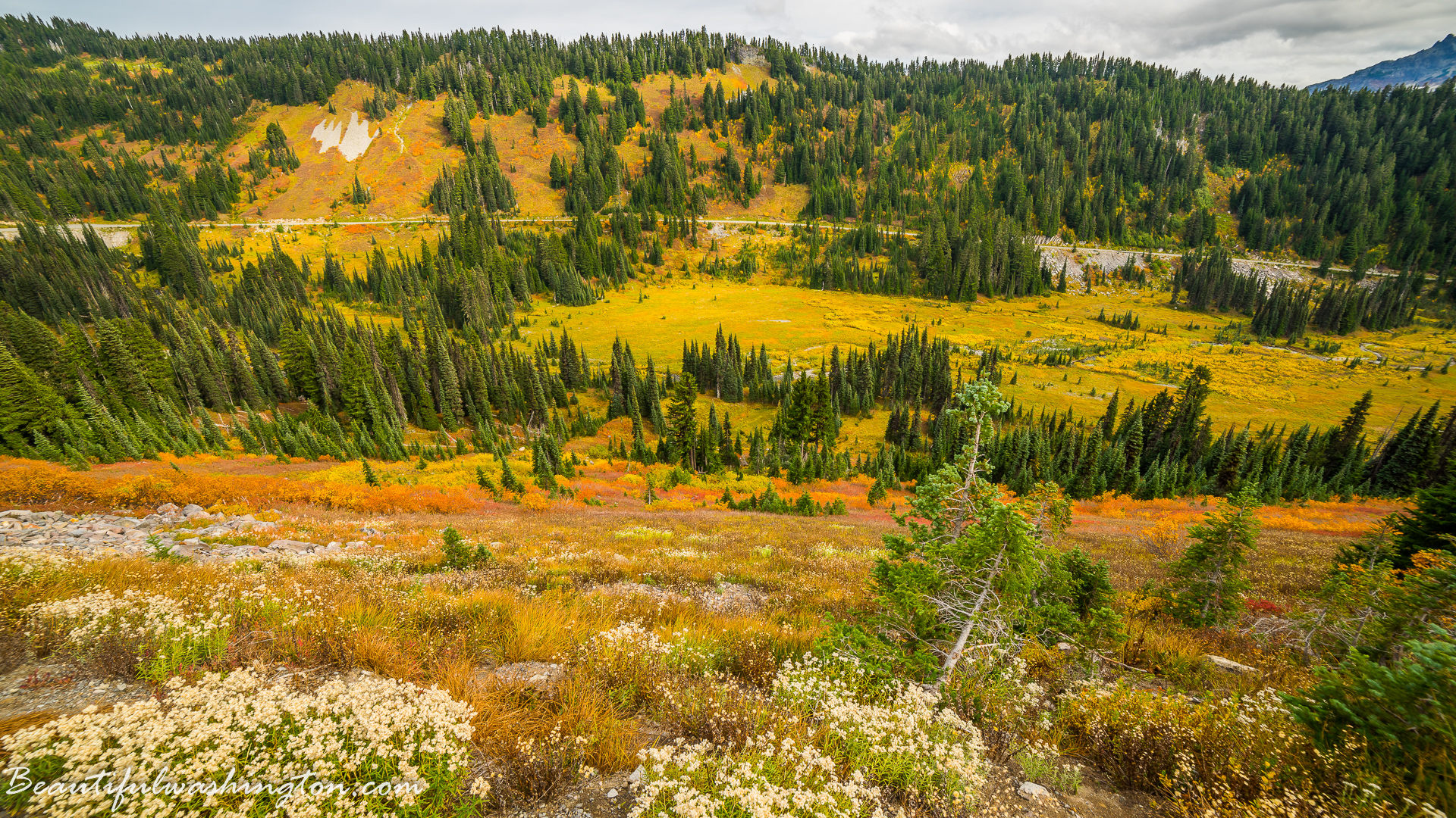 Photo from Washington State