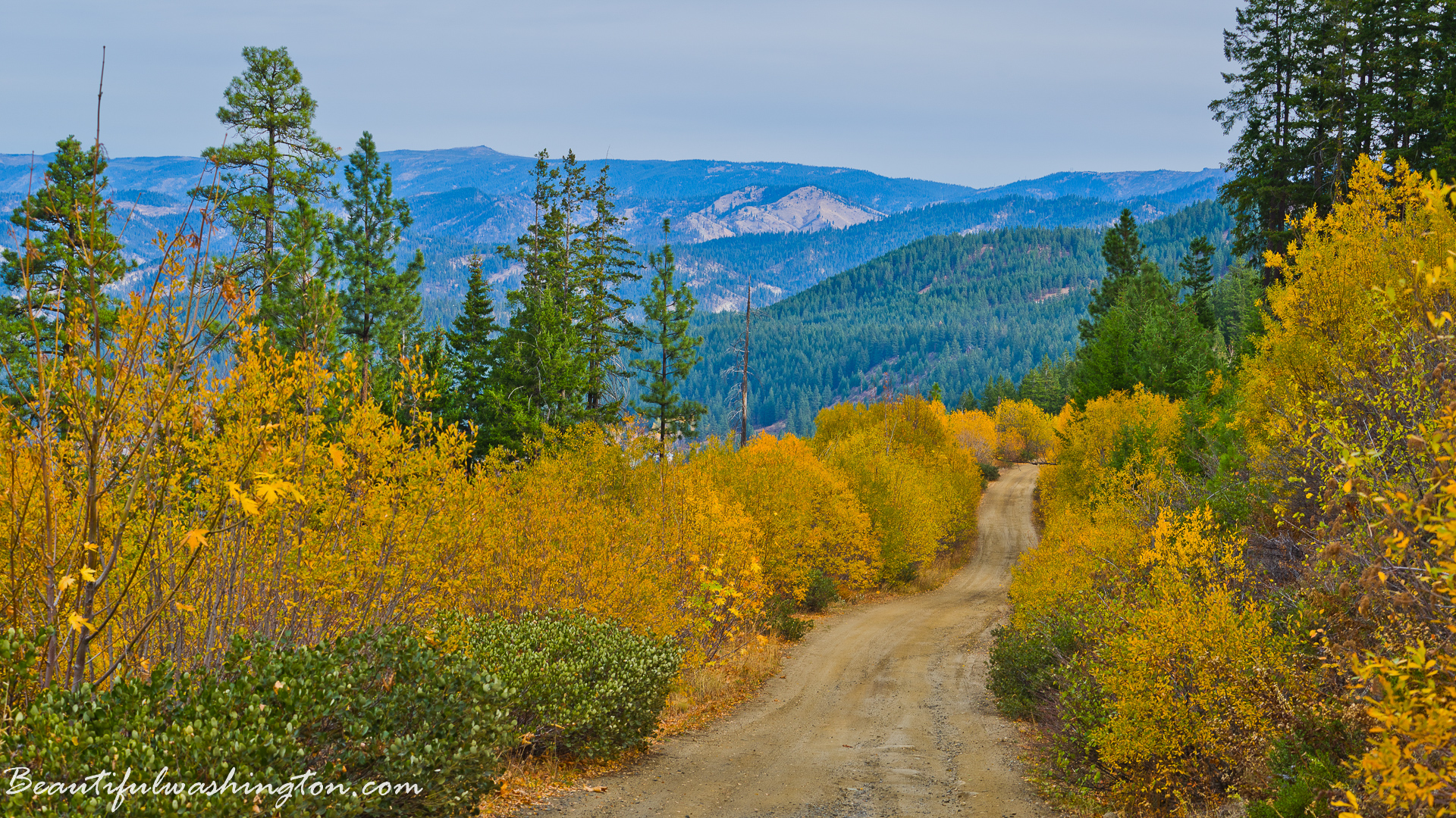 Photo from Washington State