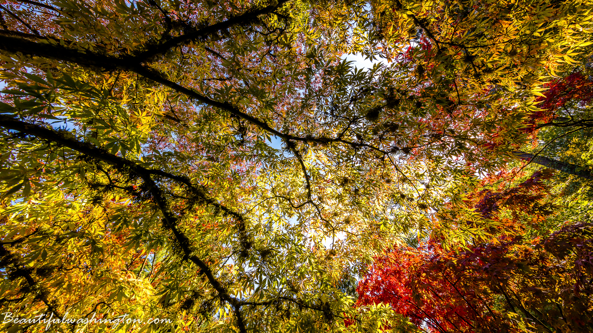 Photo from Washington State