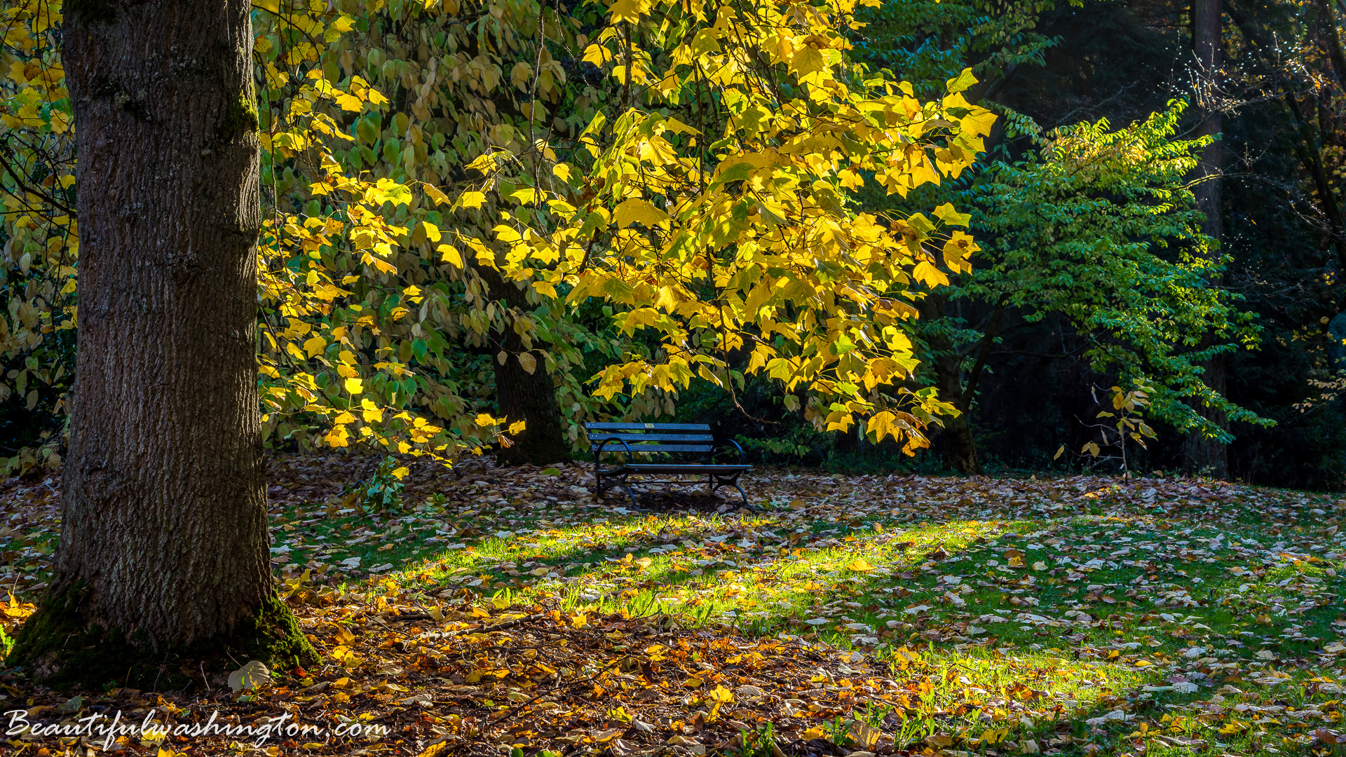 Photo from Washington State