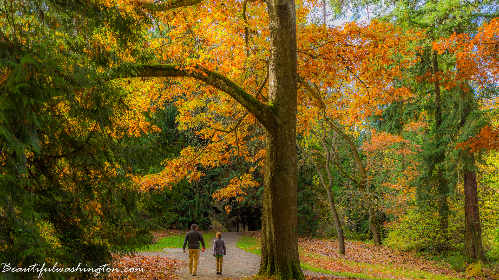 Photo from Washington State