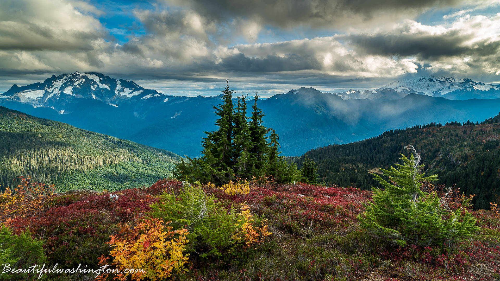 Photo from Washington State