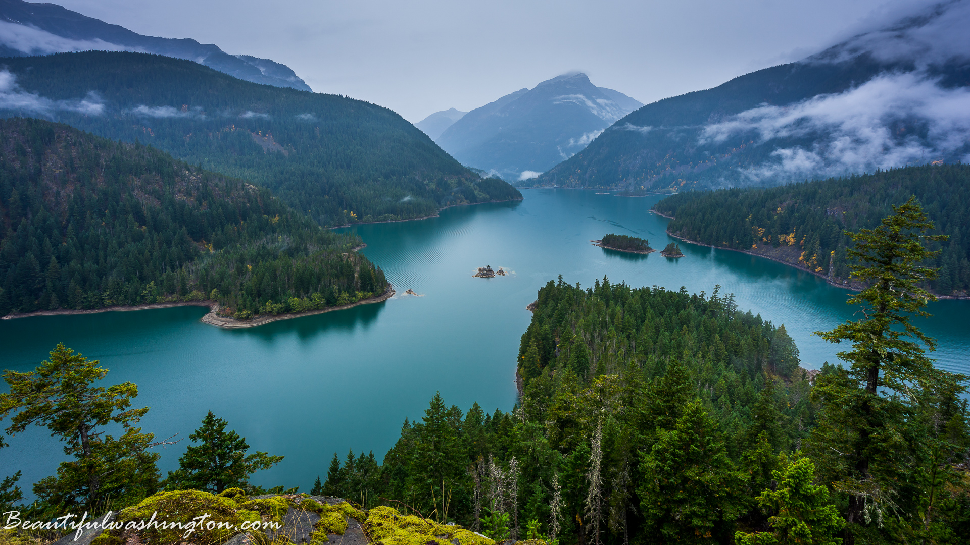 Photo from Washington State