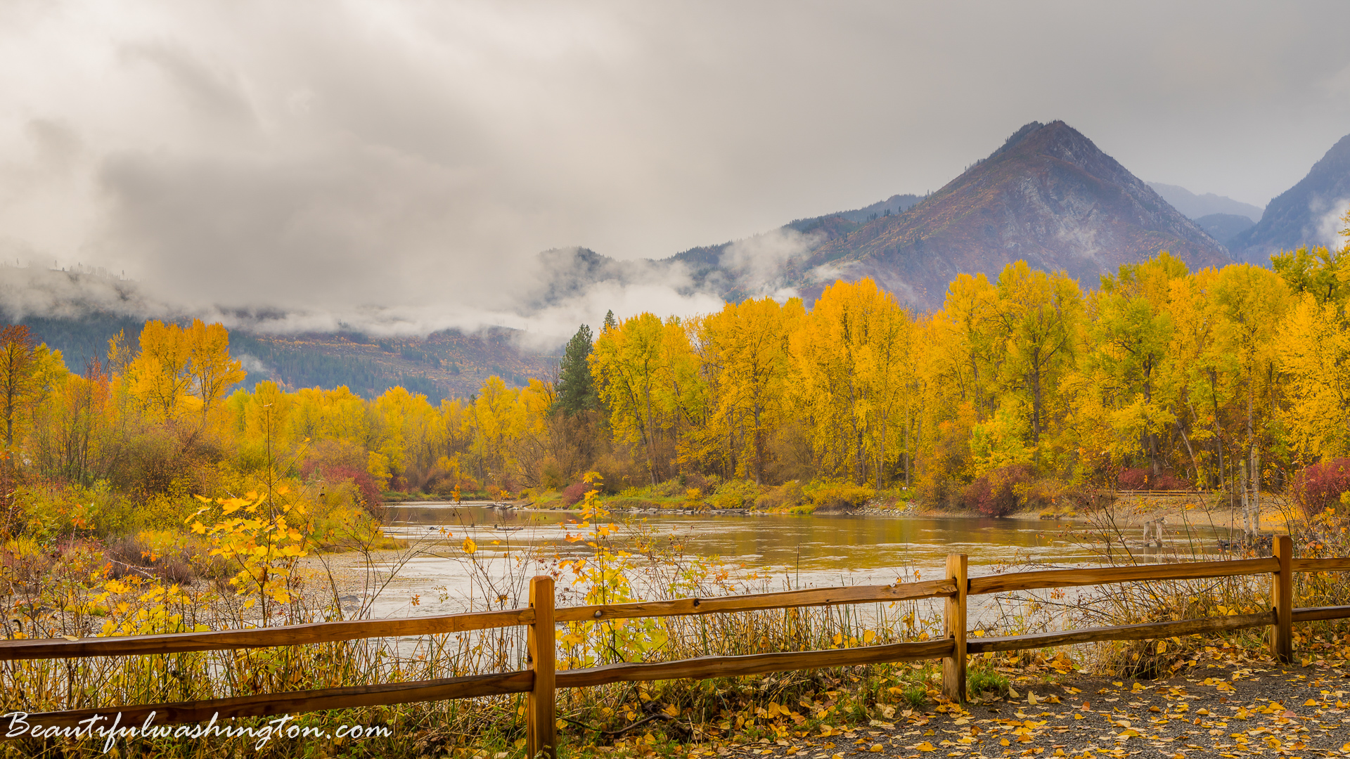 Photo from Washington State