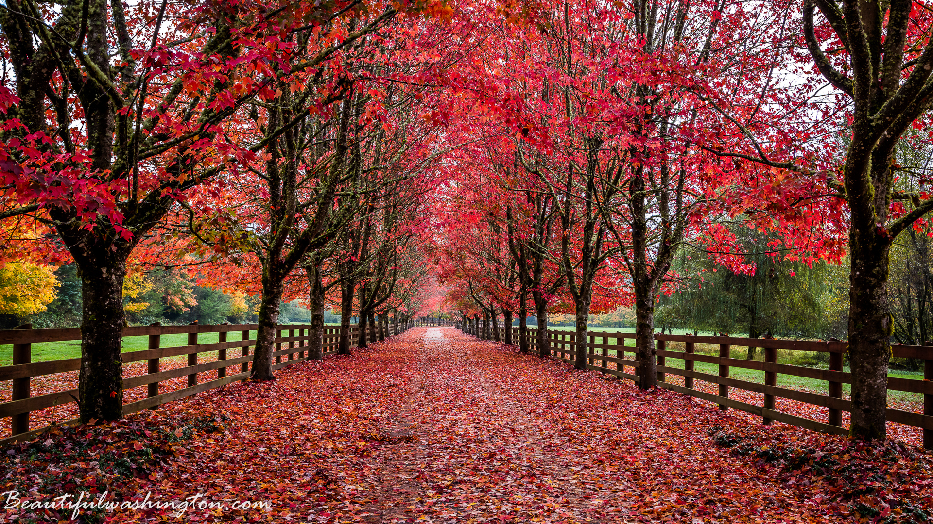 Photo from Washington State