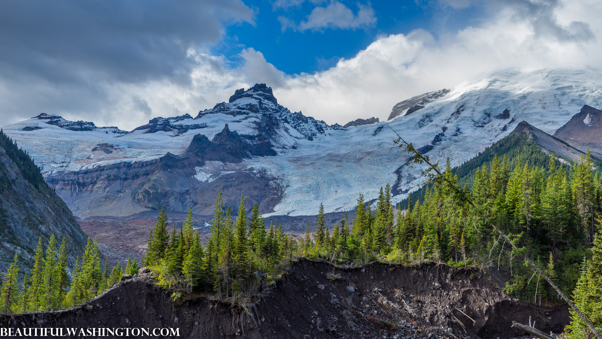 Photo from Washington State