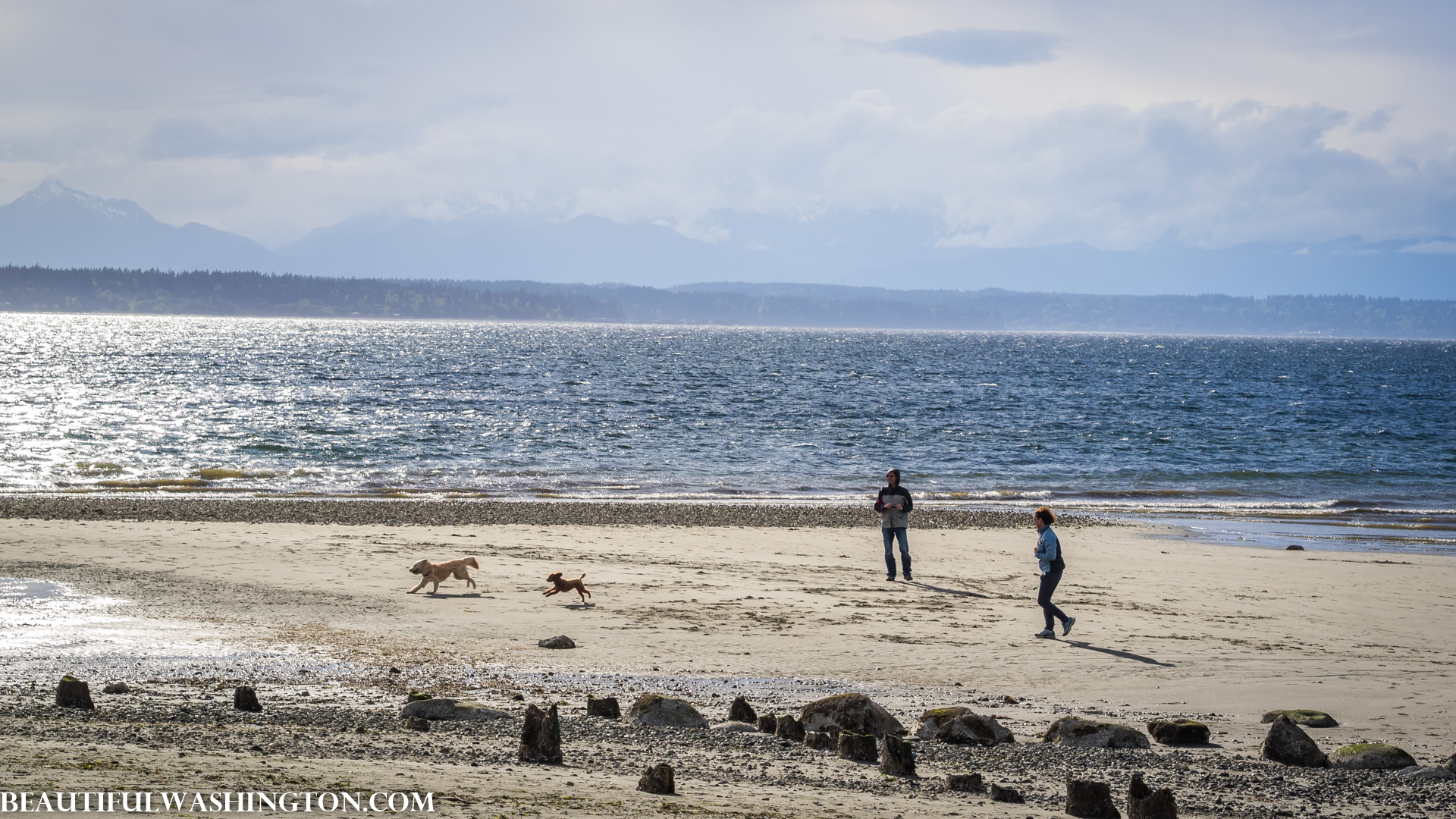 Photo from Washington State