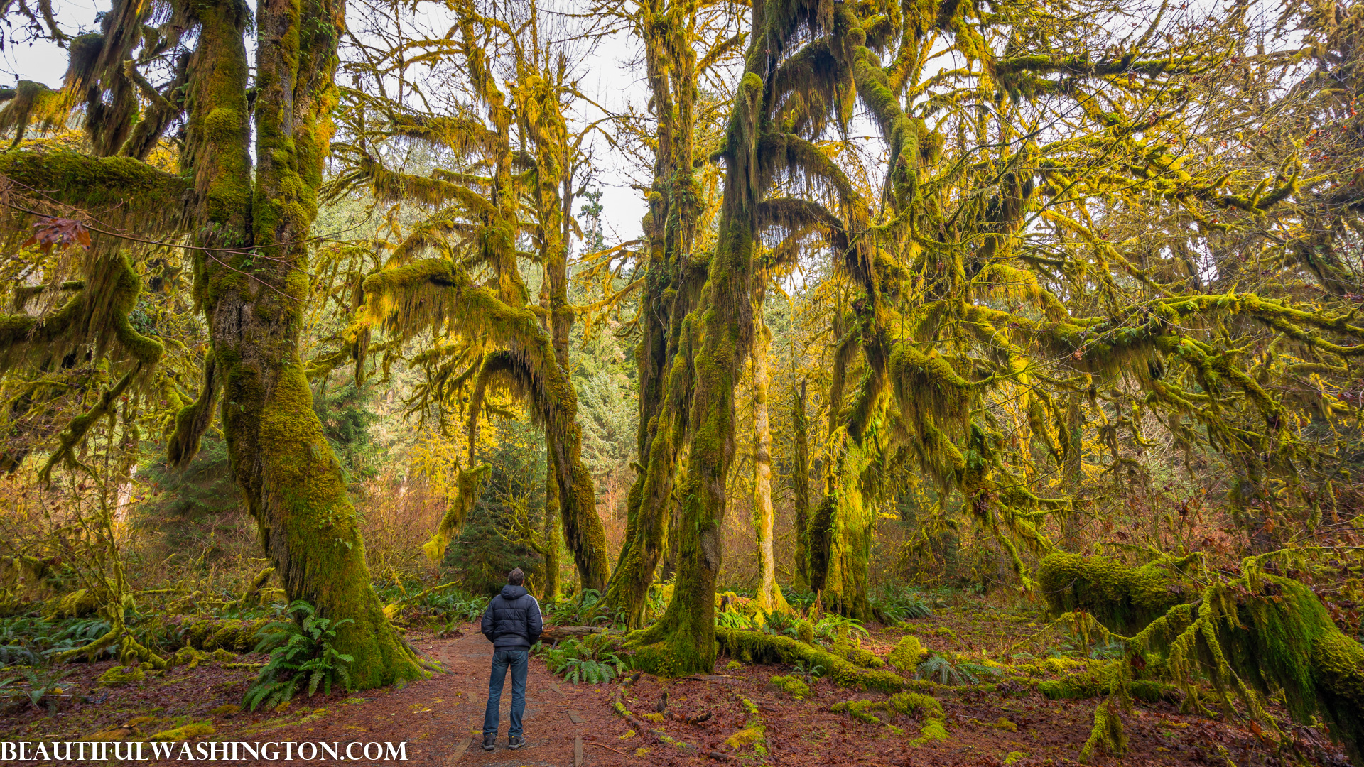 Photo from Washington State