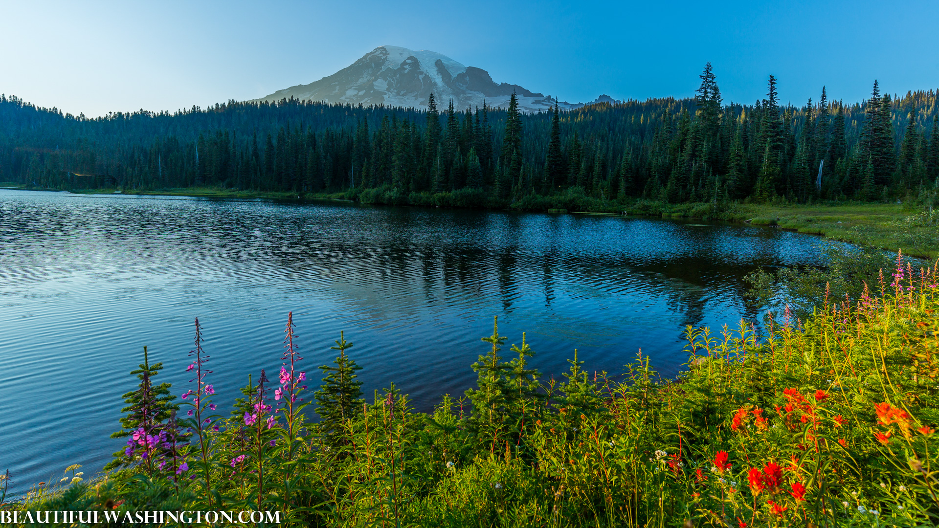 Photo from Washington State