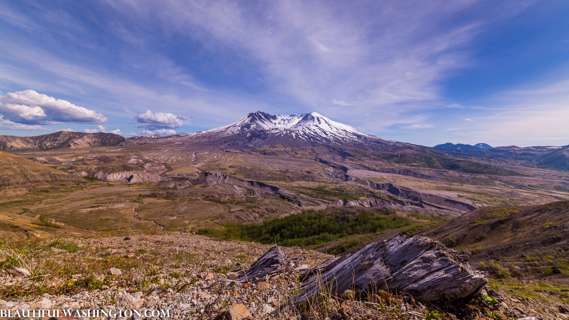 Photo from Washington State