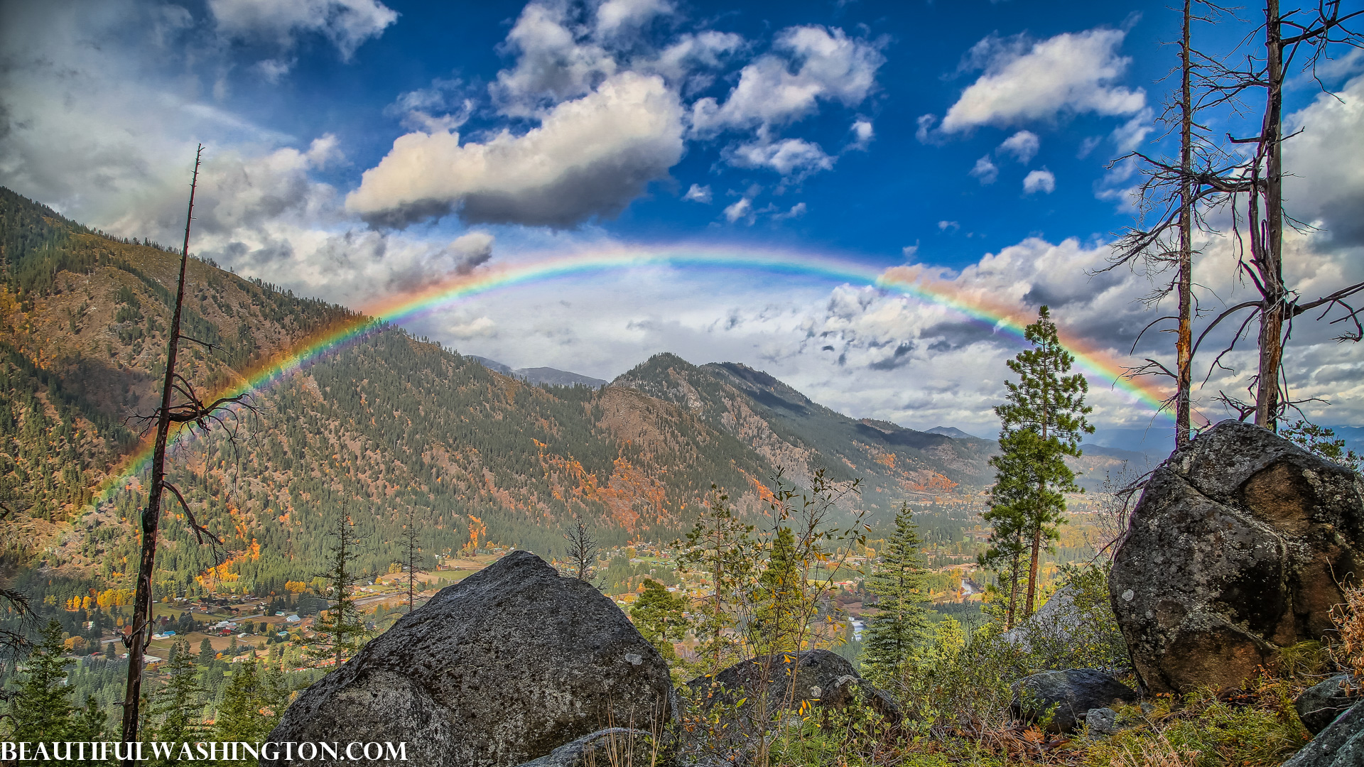 Photo from Washington State