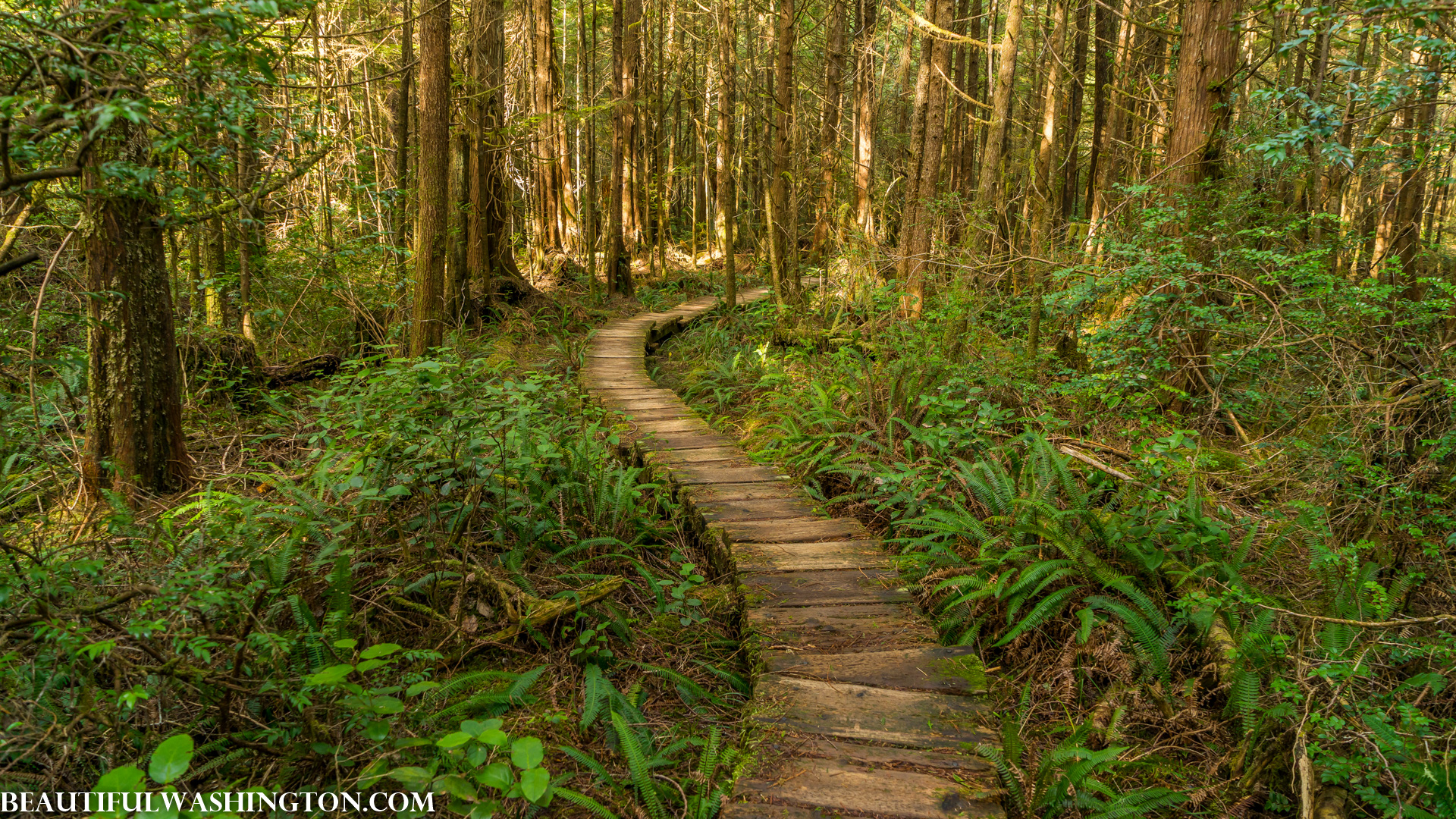 Photo from Washington State